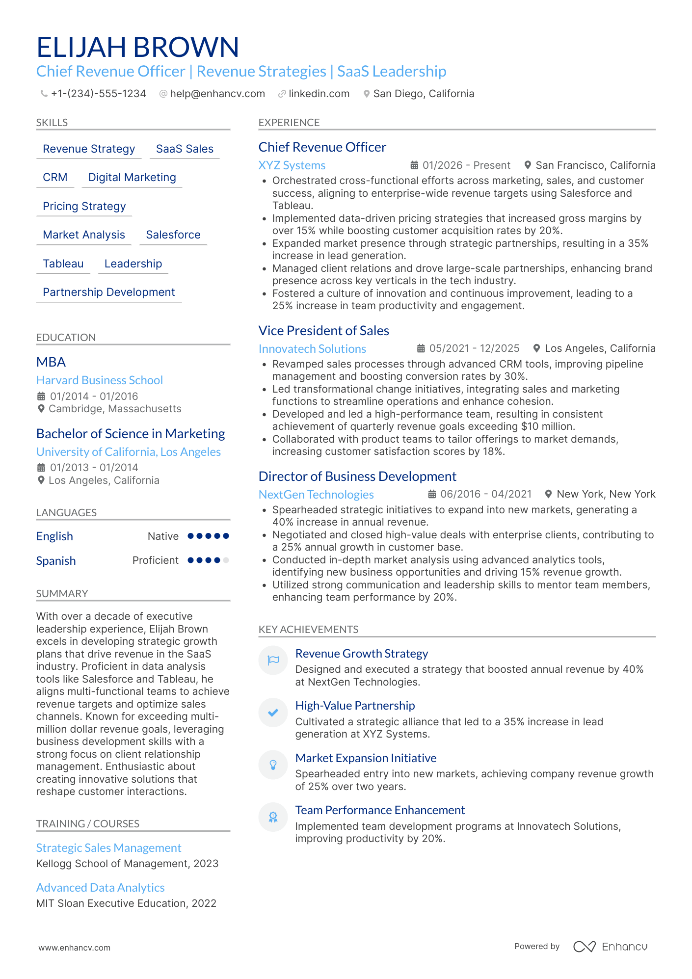 Chief Revenue Officer resume example
