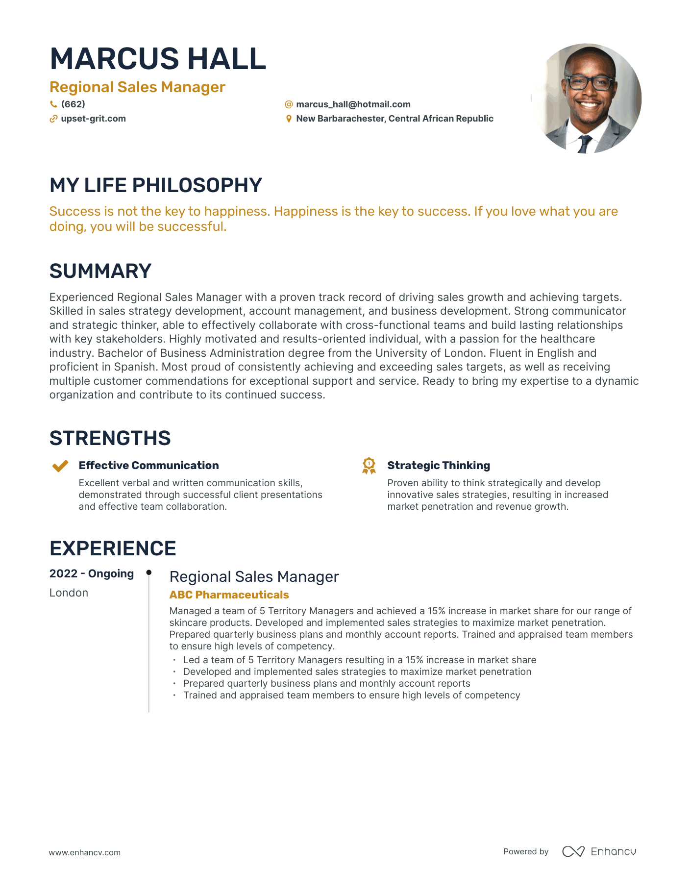Creative Regional Sales Manager Resume Example