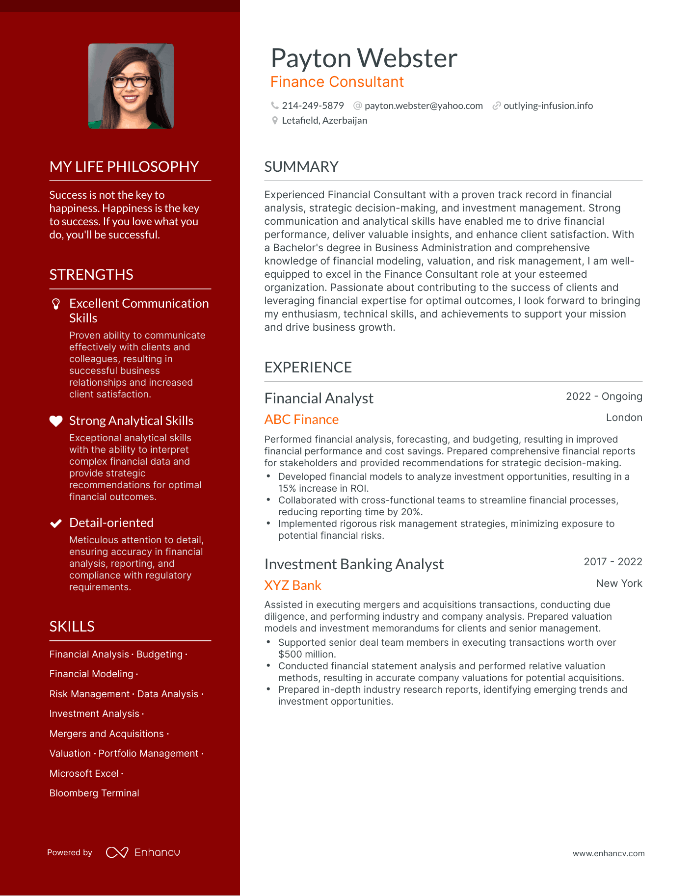 Creative Finance Consultant Resume Example