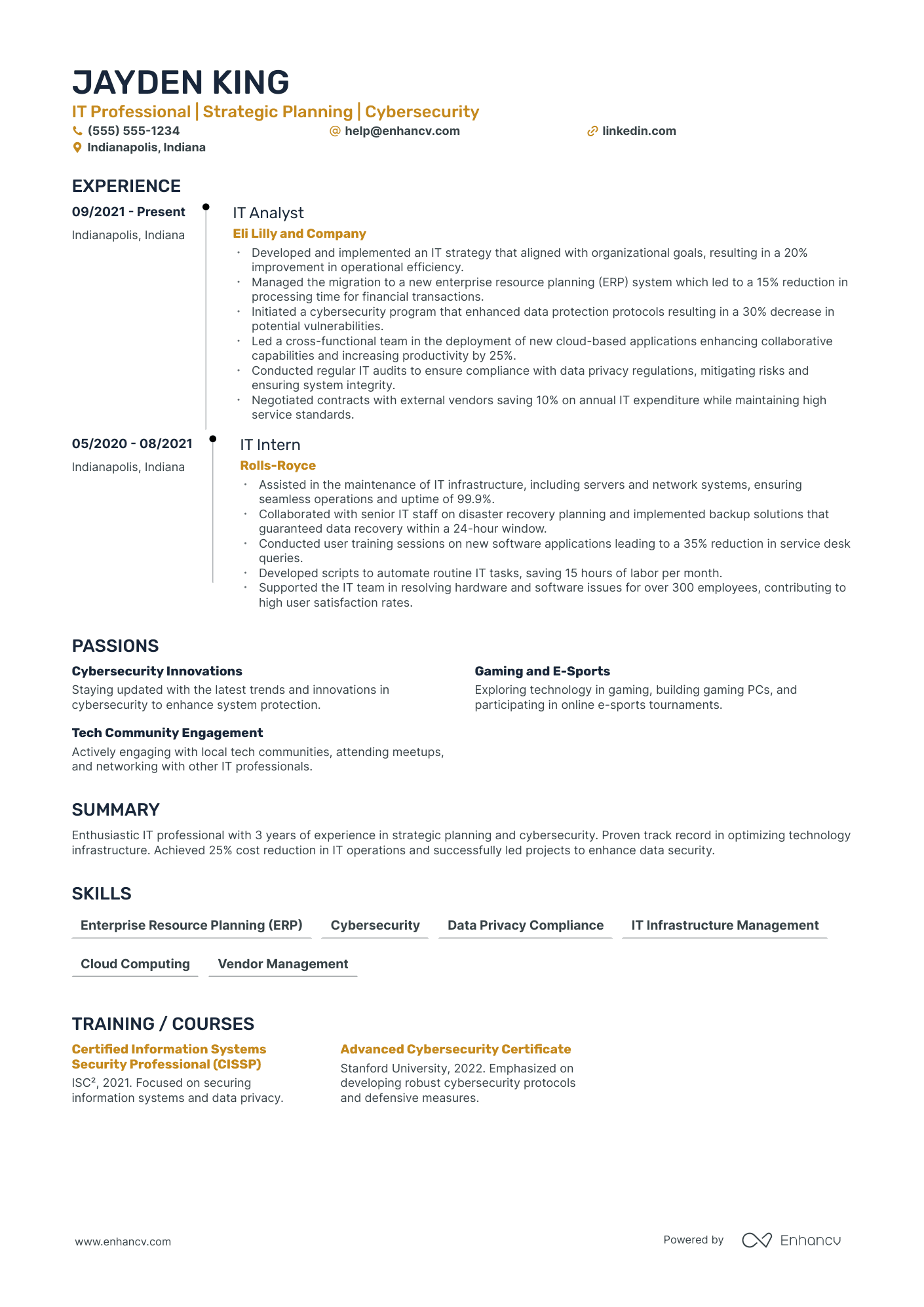 Senior Vice President & Chief Information Officer Resume Example Resume Example