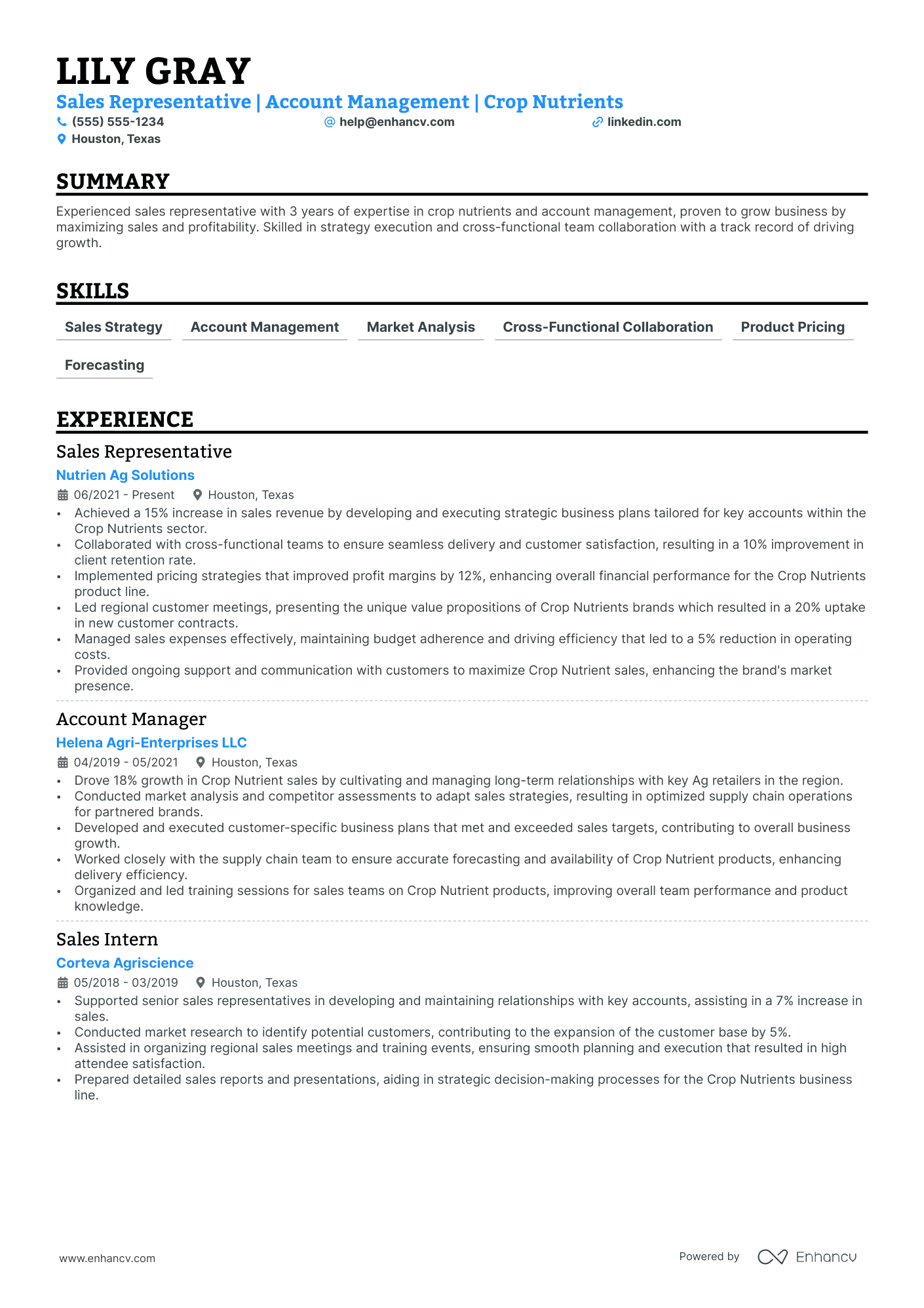 Consulting Sales Representative Resume Example Resume Example