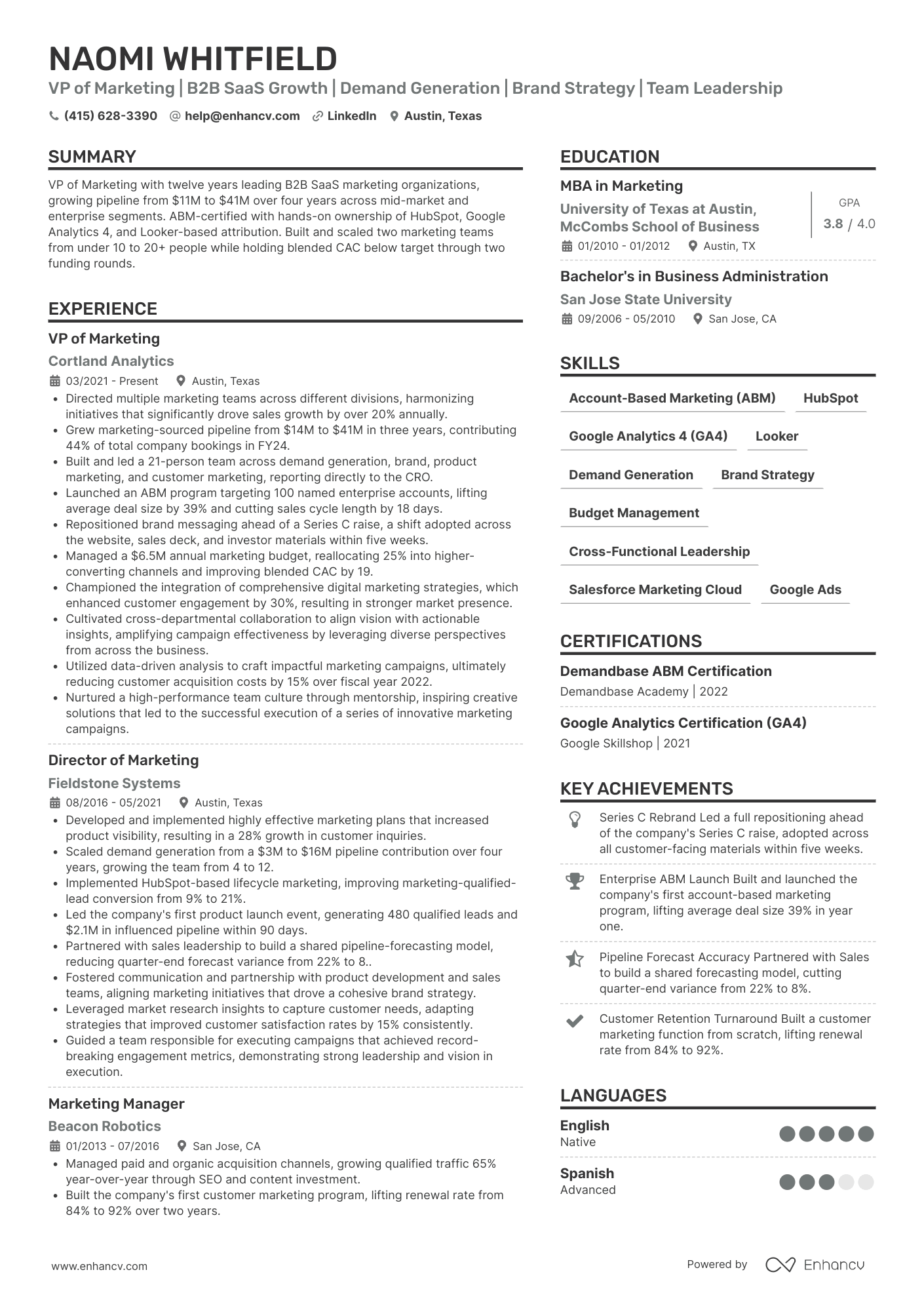 VP Marketing resume example