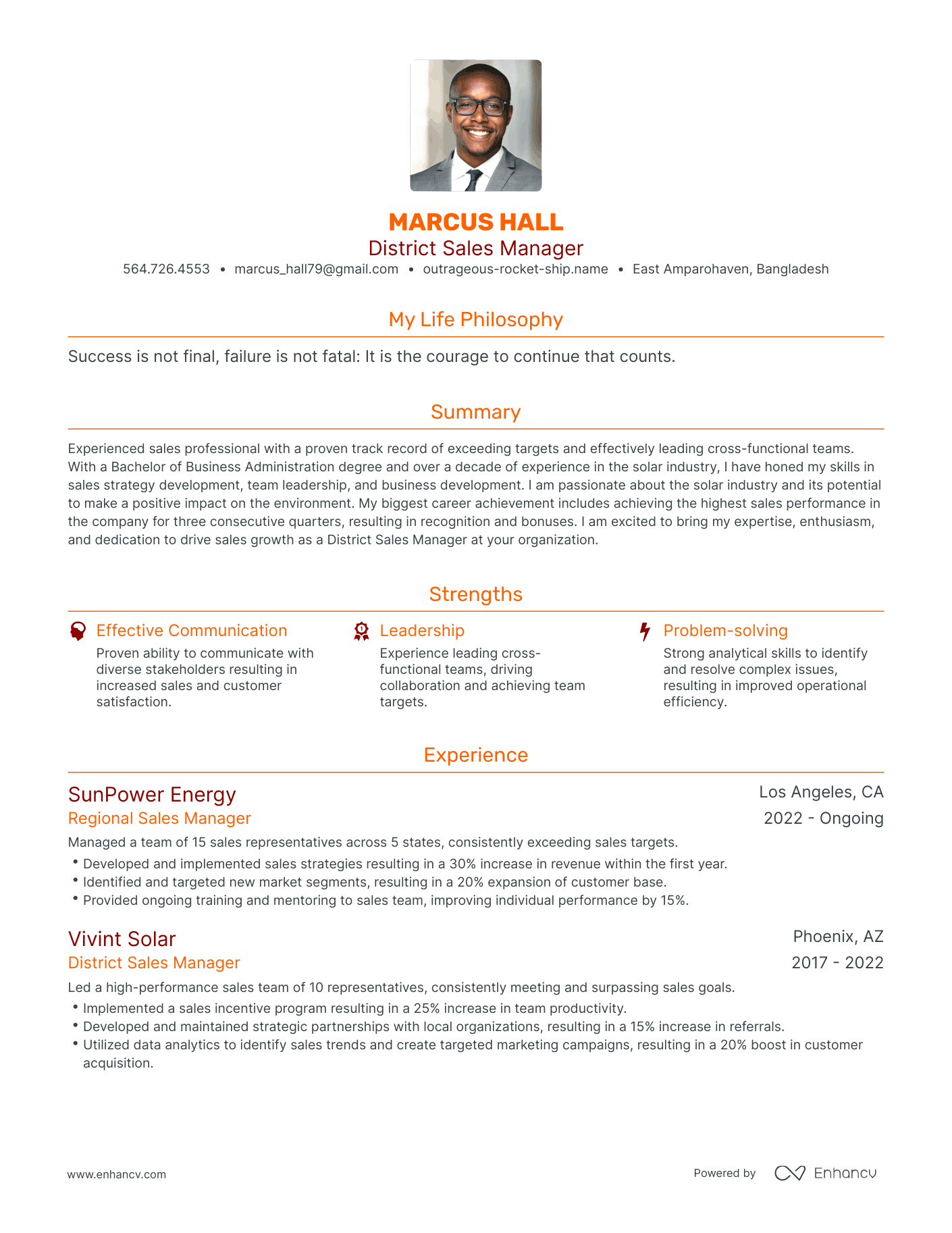 Modern District Sales Manager Resume Example