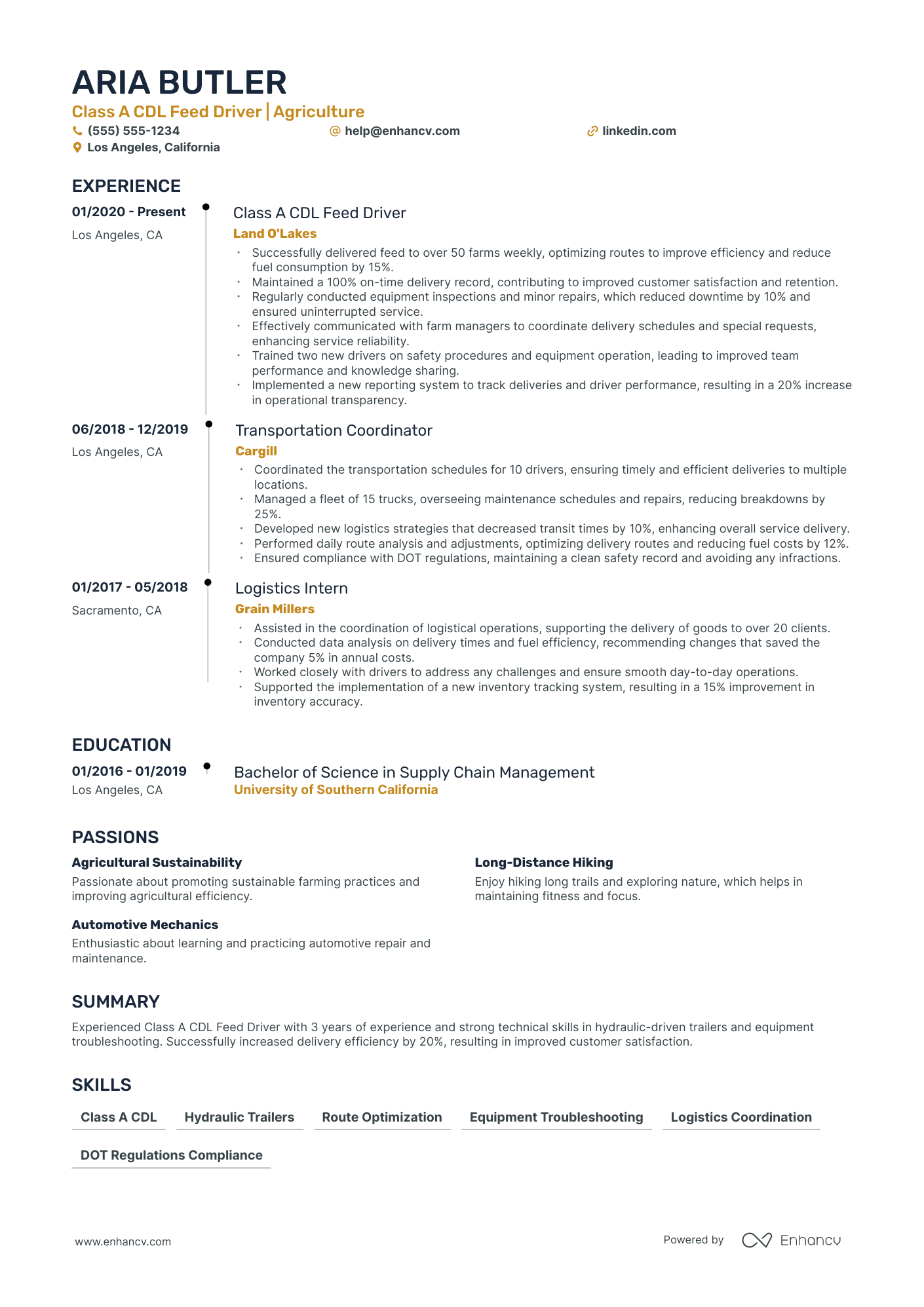 Full-Time Delivery Driver resume example