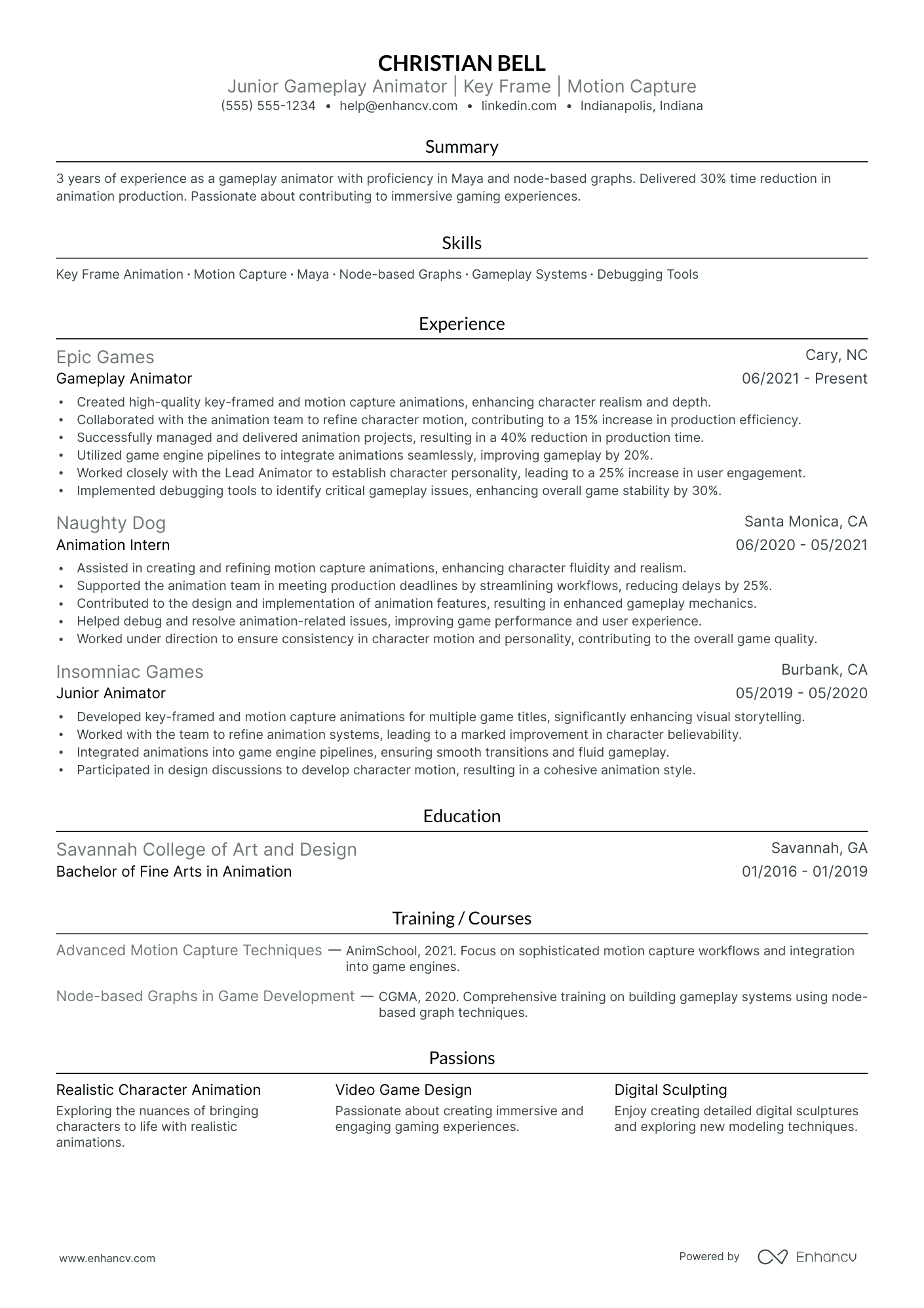 Video Game Animator resume example