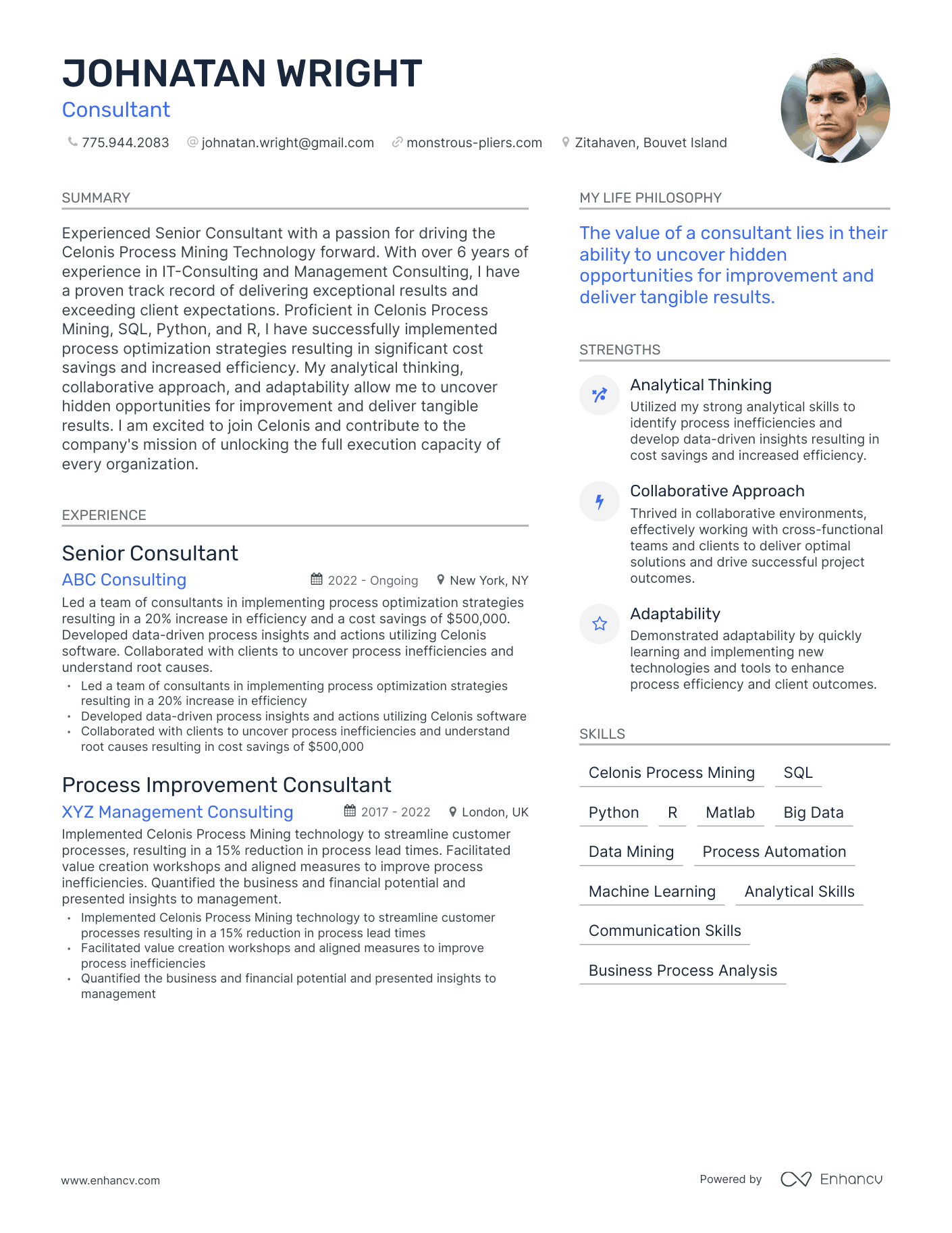 Modern Consultant Resume Example