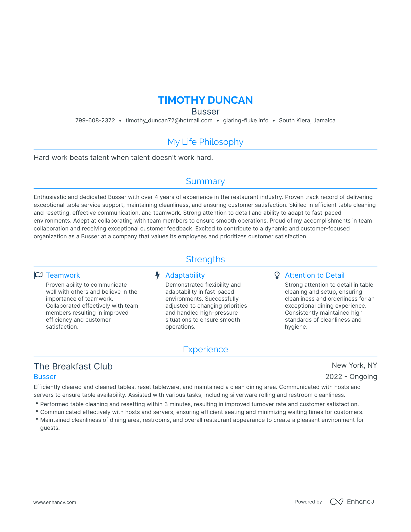 Modern Busser Resume Example