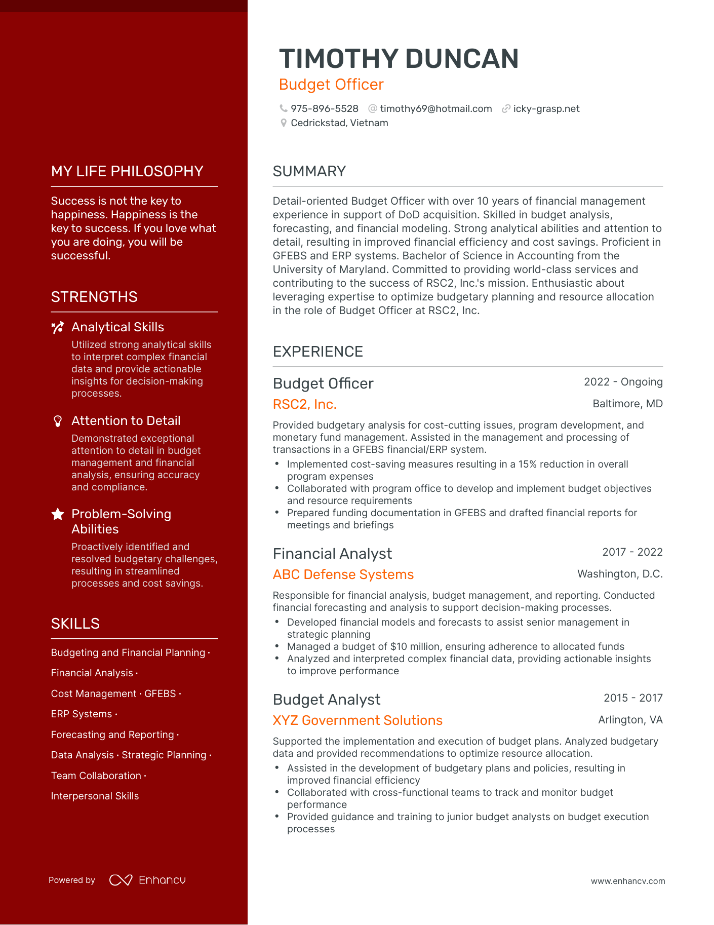 Creative Budget Officer Resume Example