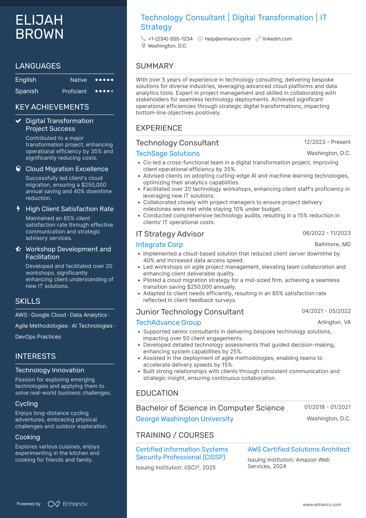 Technology Consultant resume example