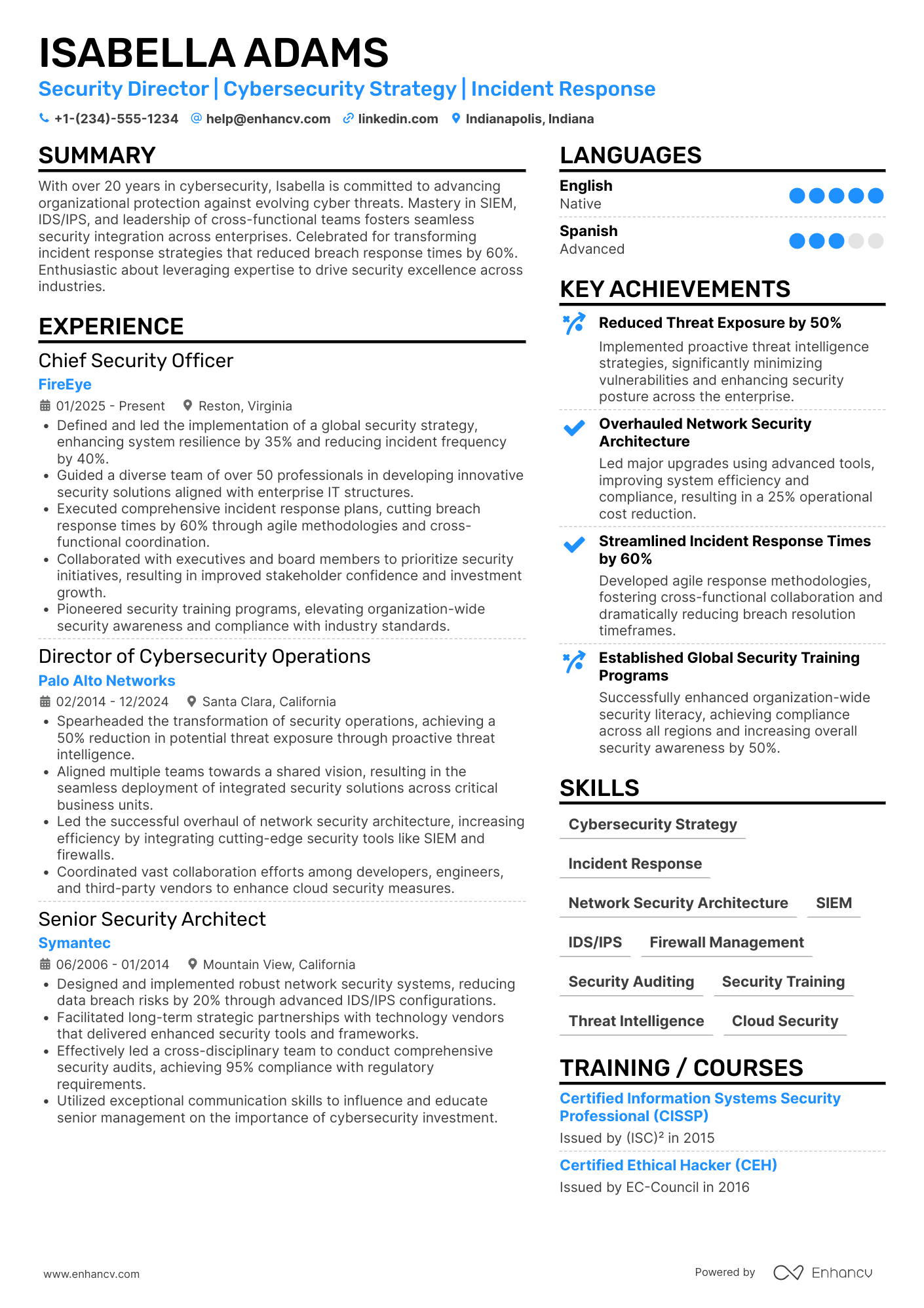 Security Director resume example