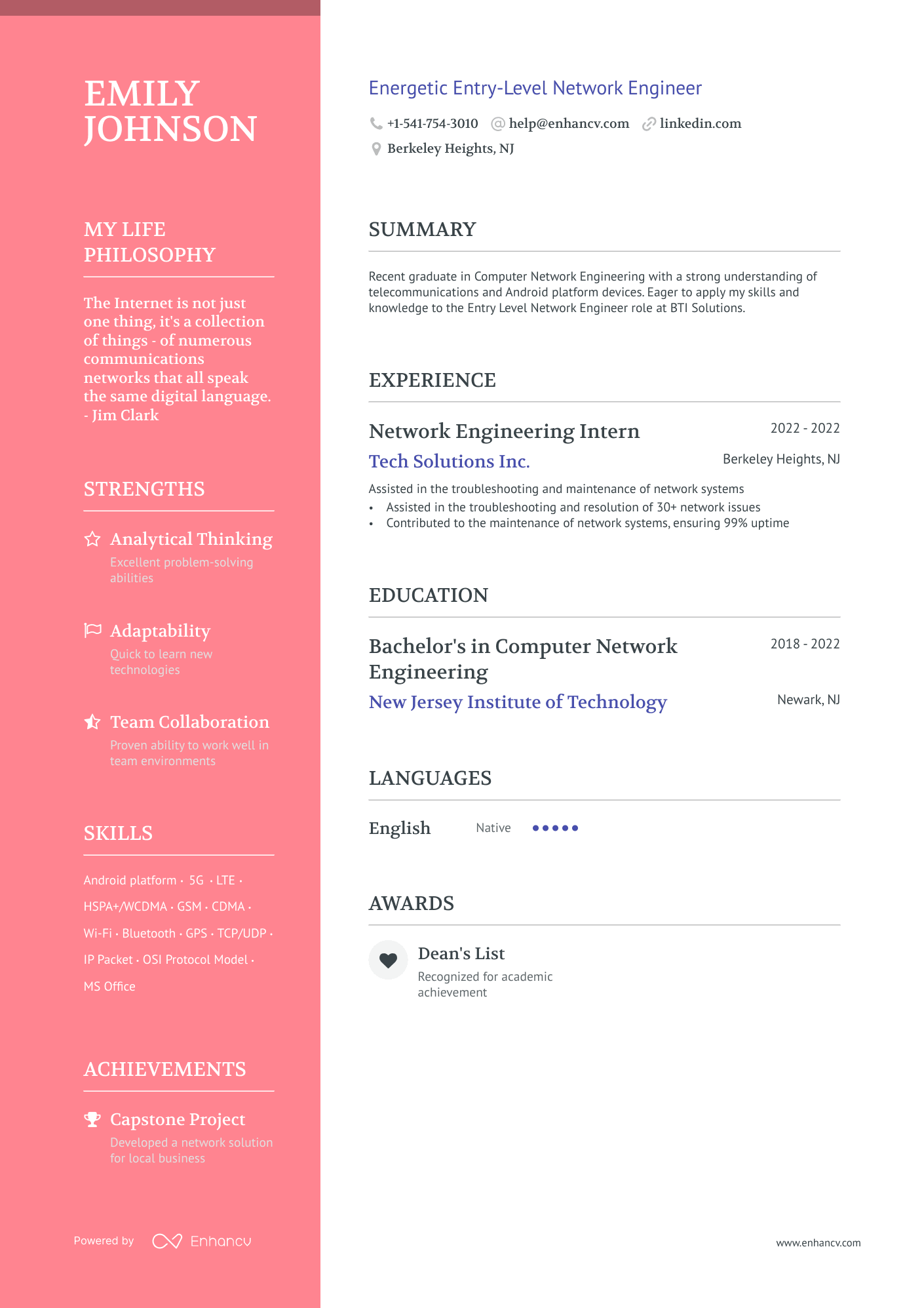 Entry Level Network Engineer resume example