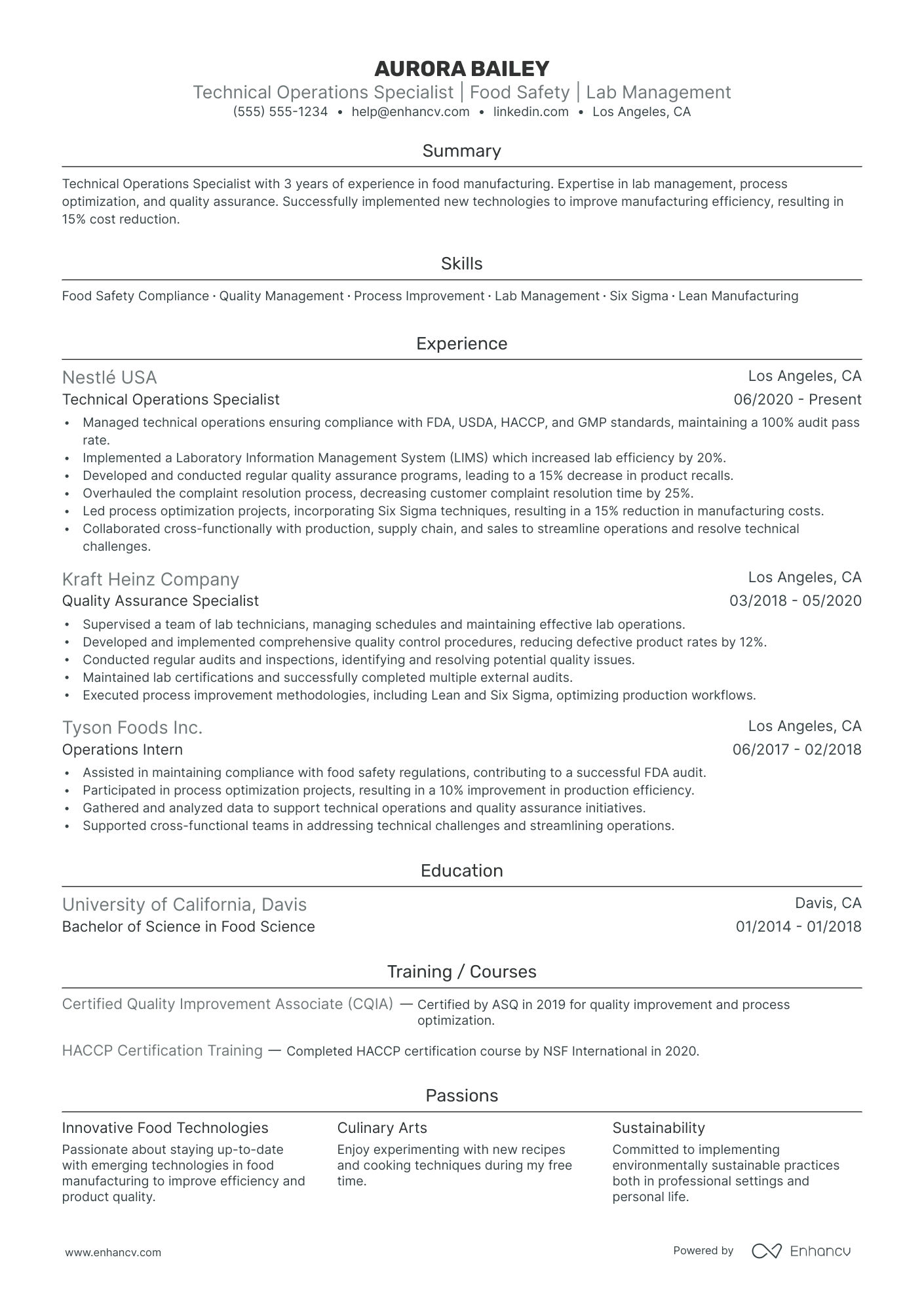 Director of Technical Sales resume example