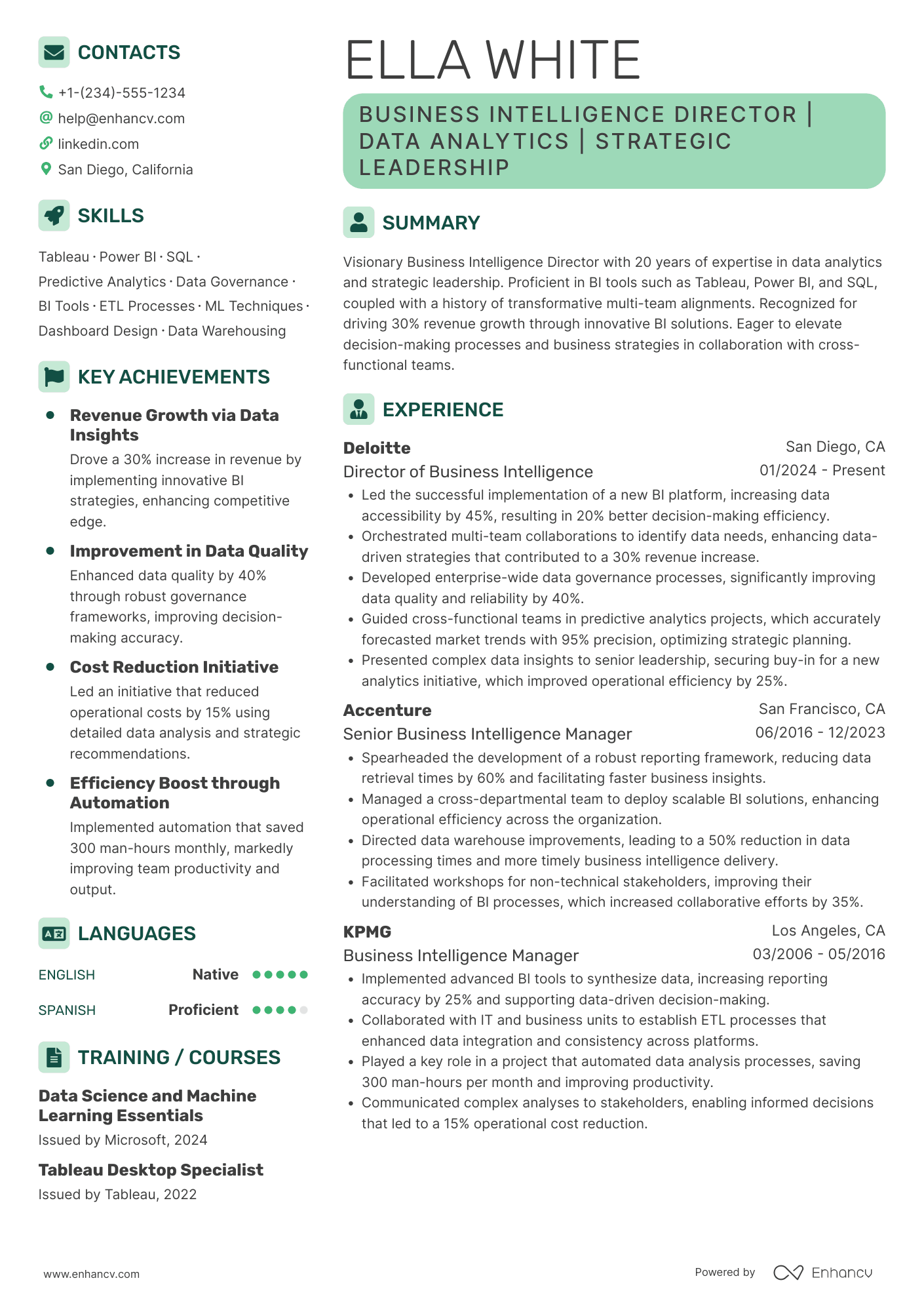Business Intelligence Director resume example