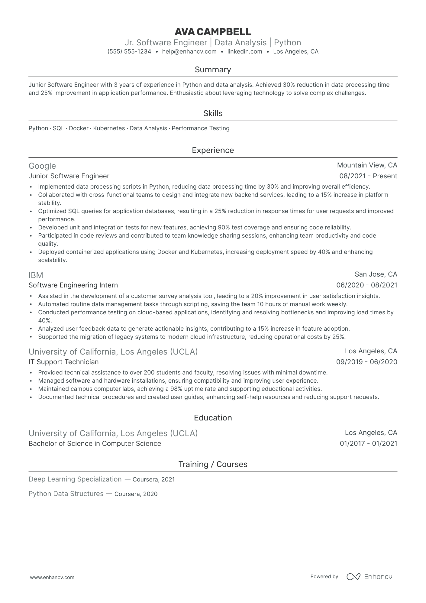 Experimental Filmmaker Resume Example Resume Example