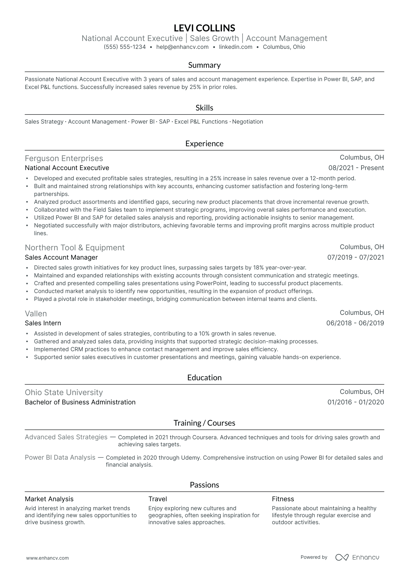 National Account Executive resume example