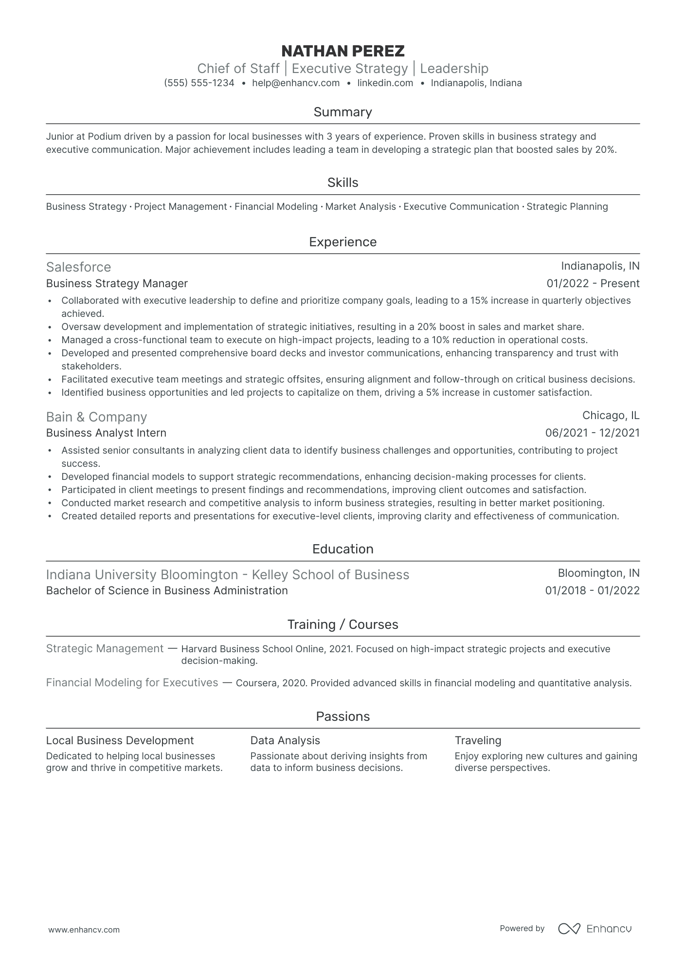 Chief of Staff to the CEO Resume Example Resume Example