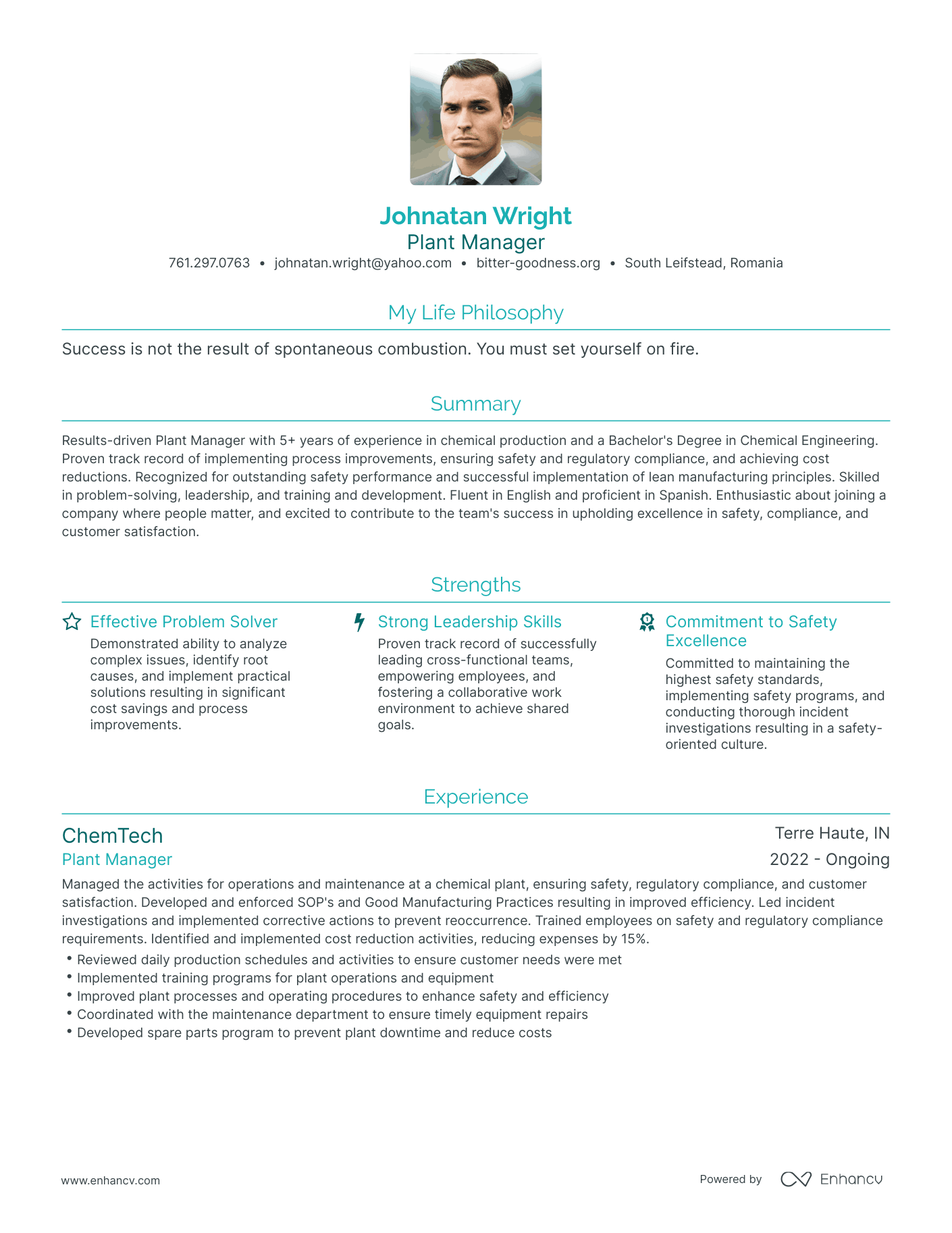 Modern Plant Manager Resume Example