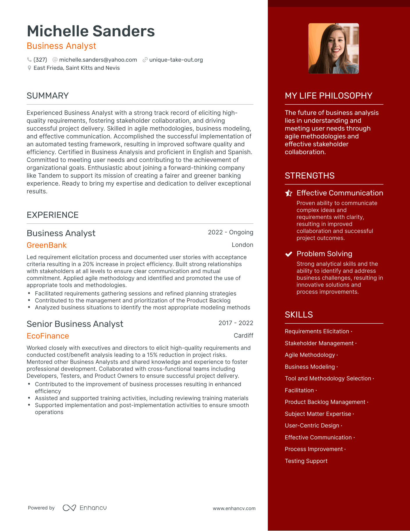 Business Analyst resume example