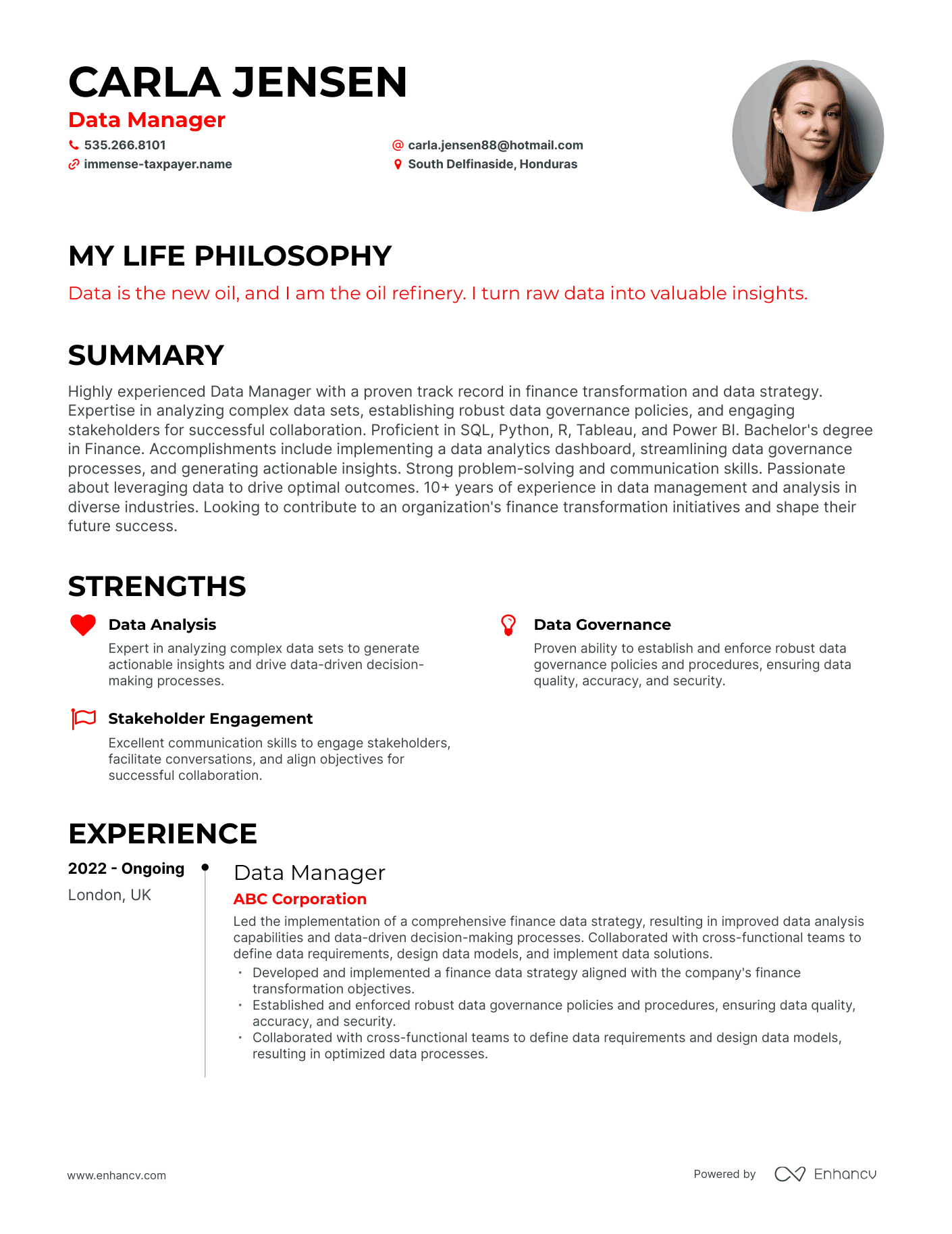 Creative Data Manager Resume Example