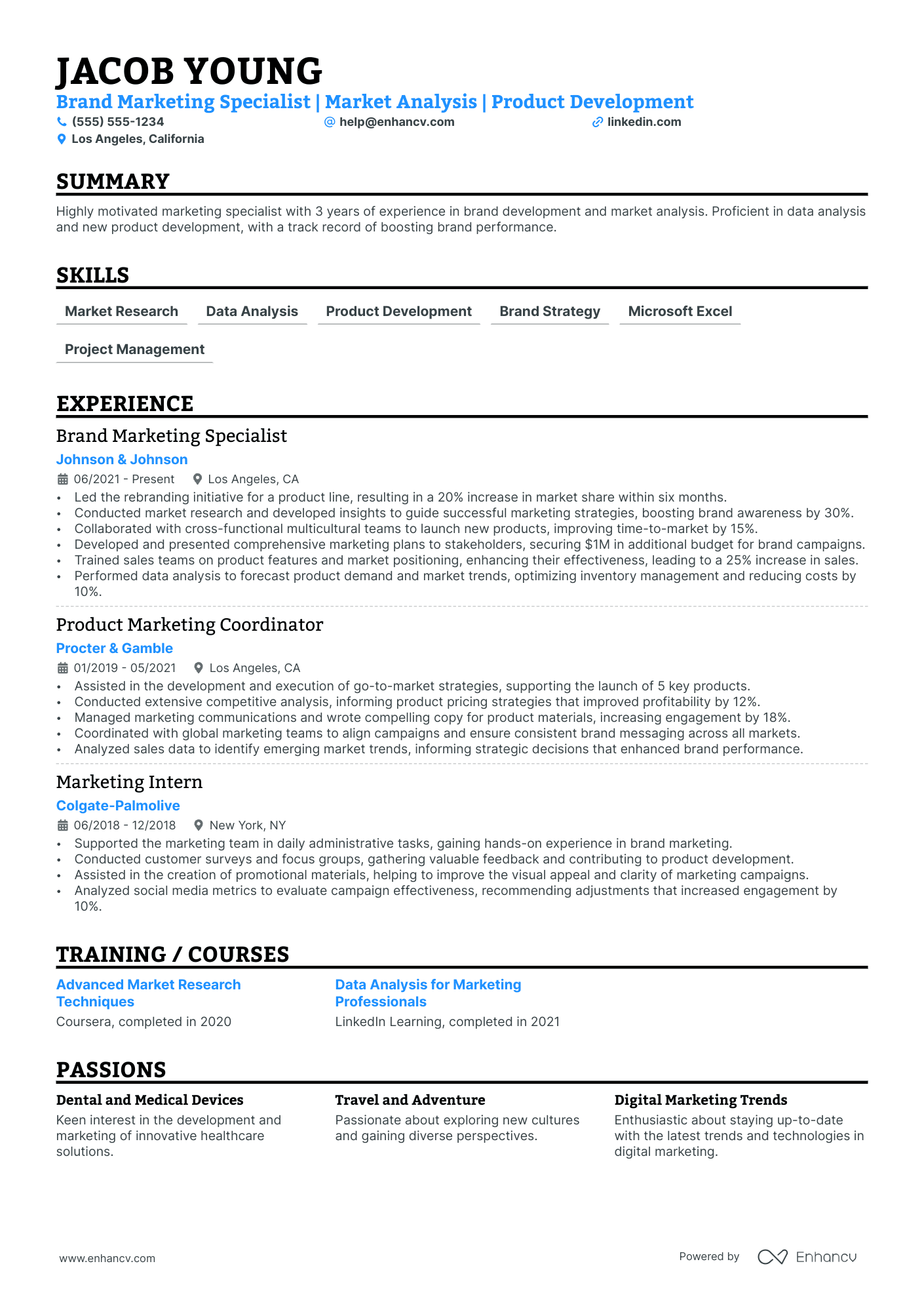 Global Brand Manager resume example