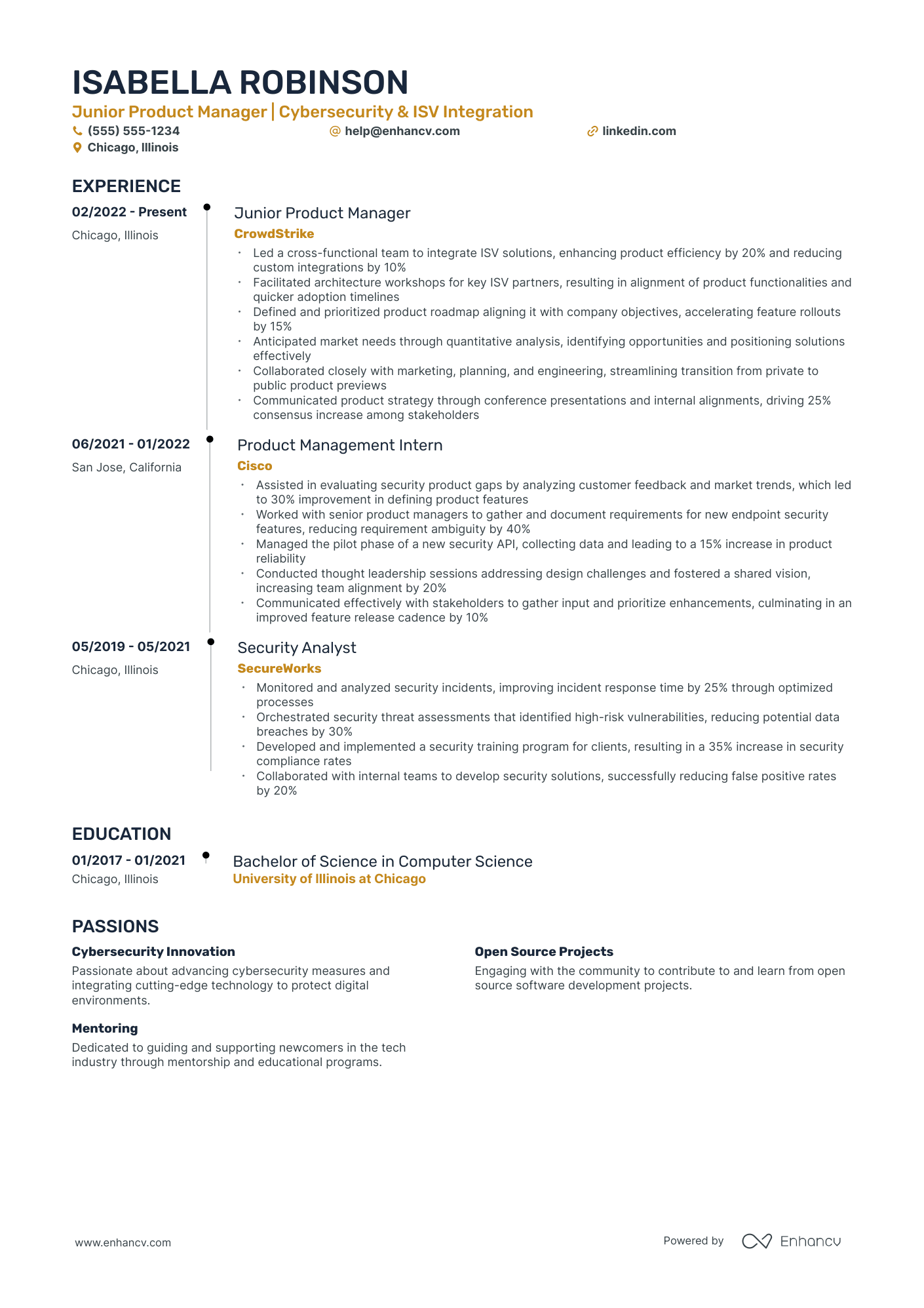 Software Developer Architect resume example