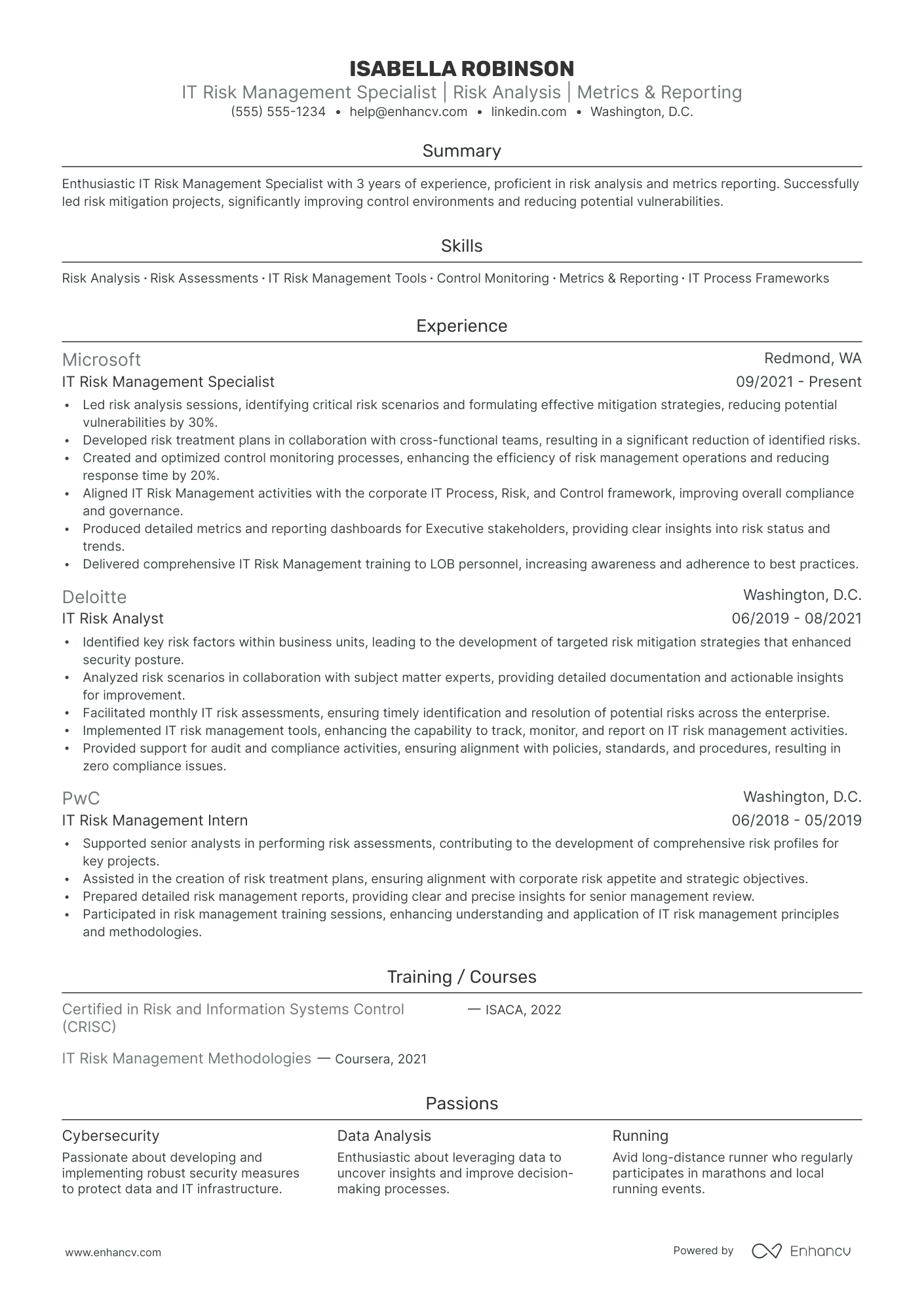 IT Risk Manager resume example