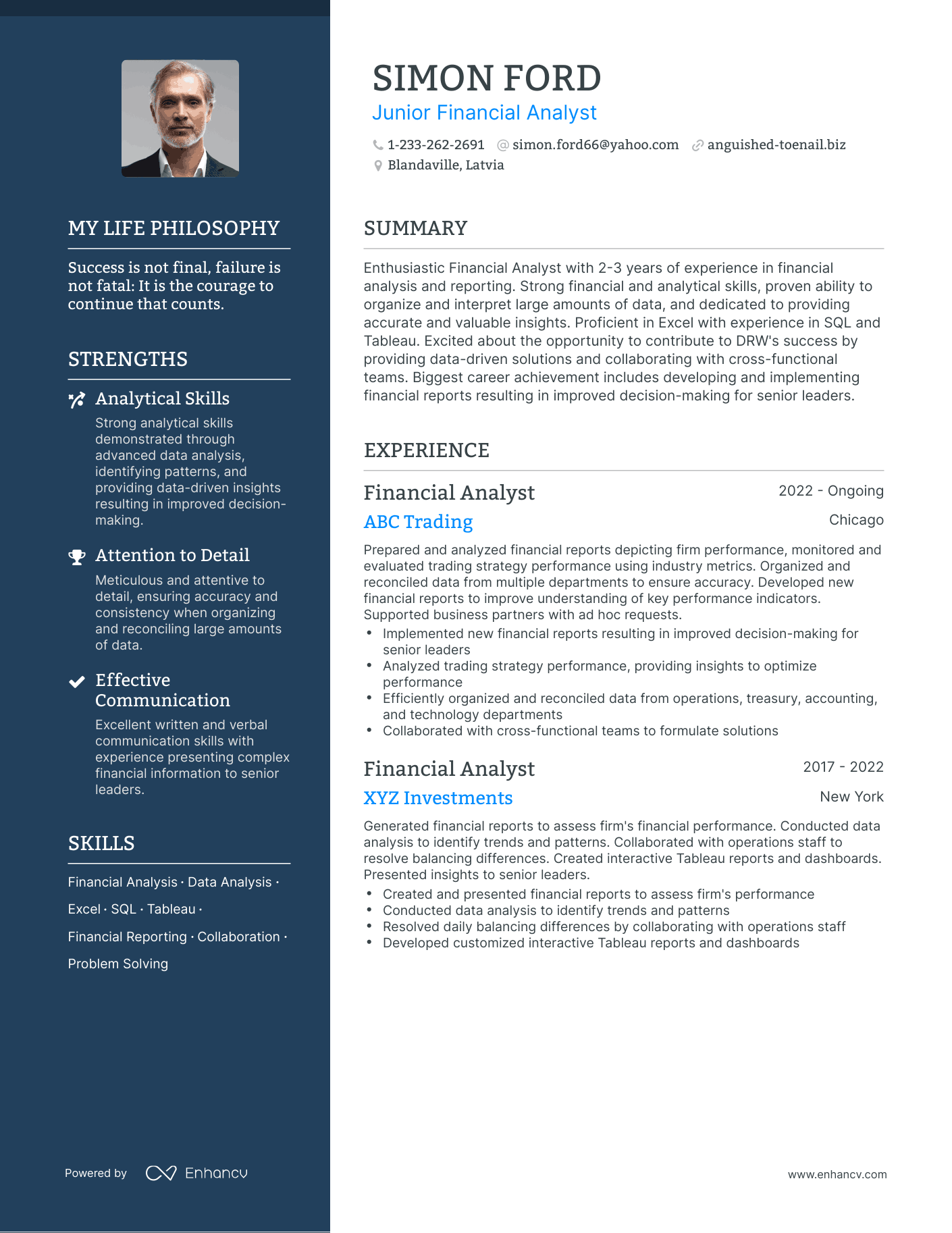 Creative Junior Financial Analyst Resume Example