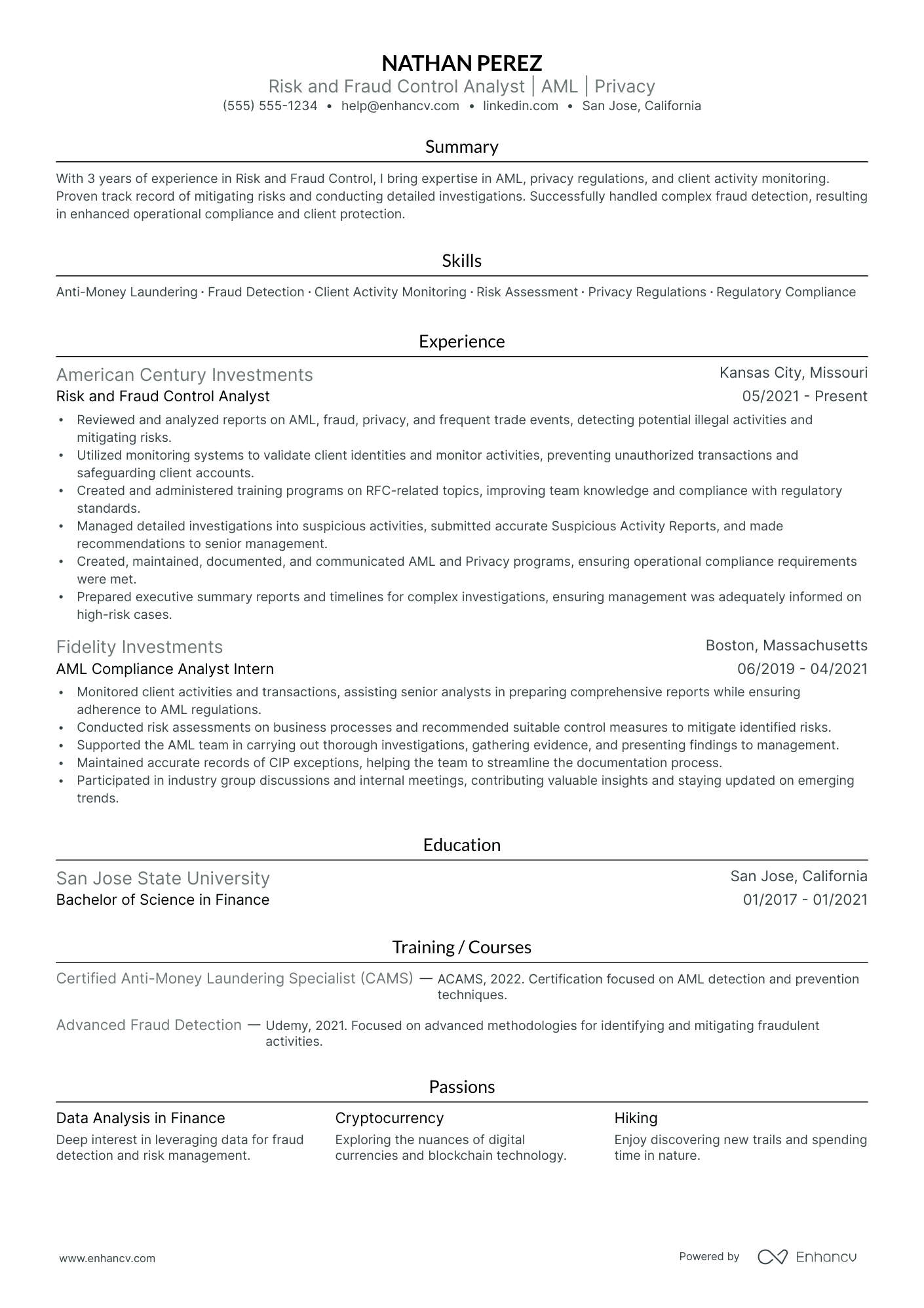 Fraud Risk Analyst resume example