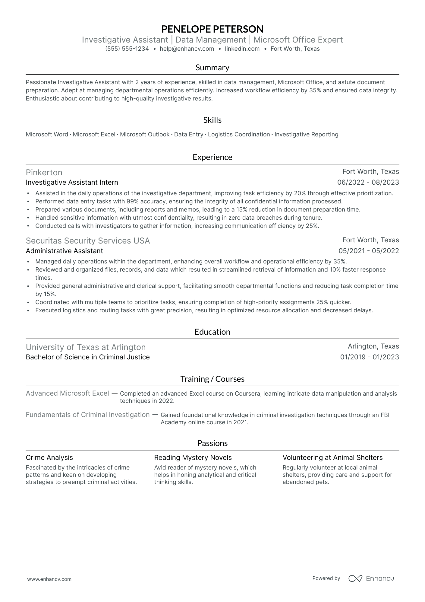 Assistant IT Manager resume example