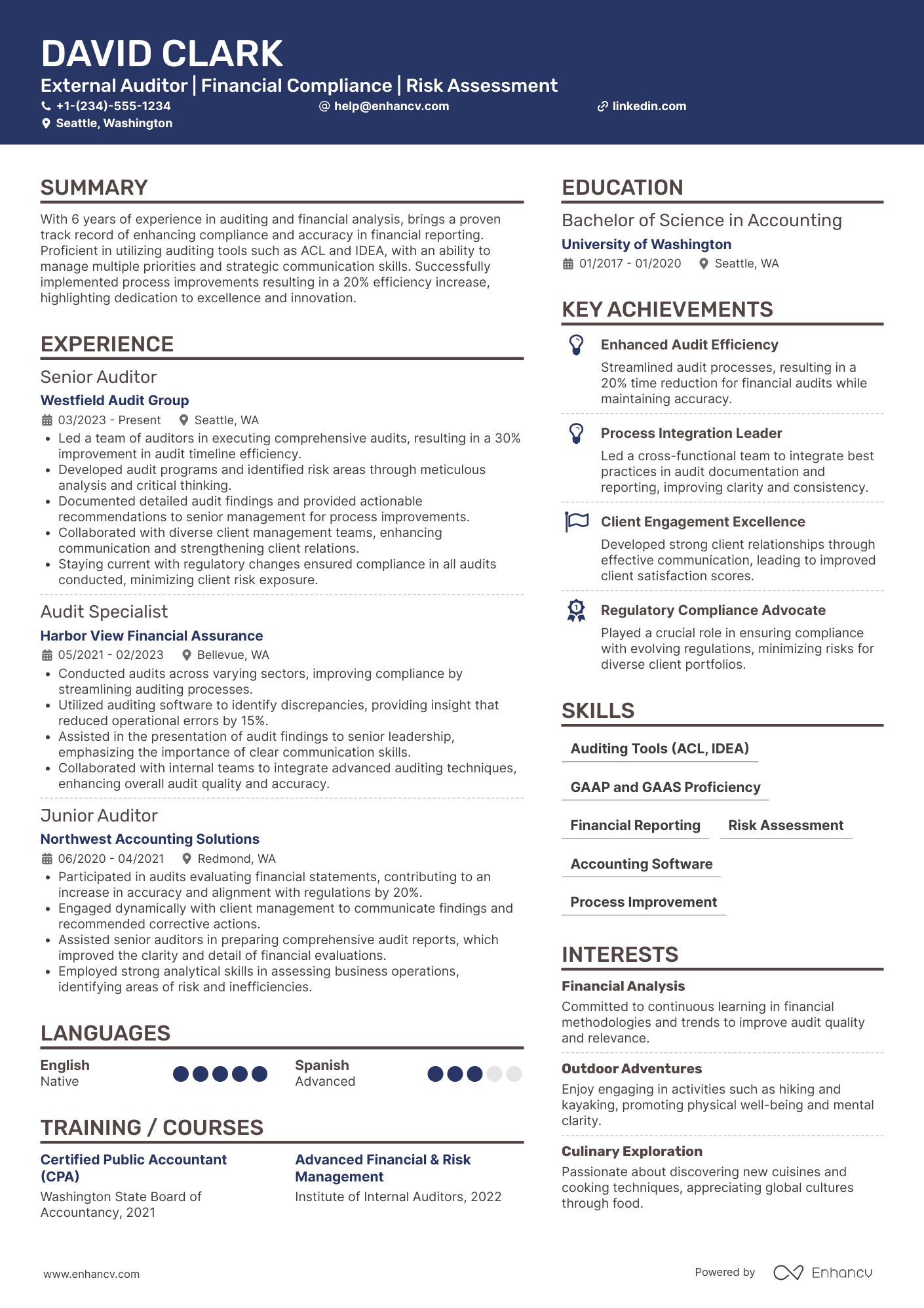 External Auditor resume example