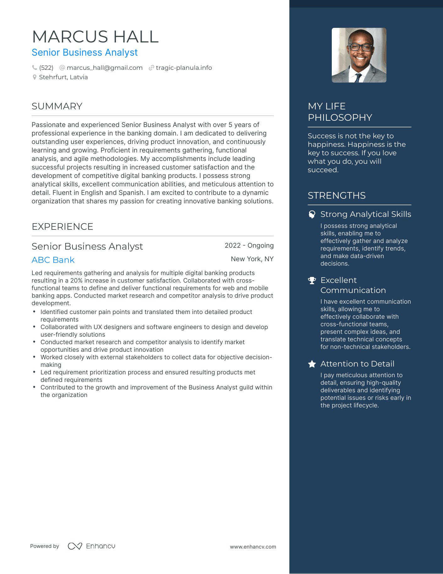 Senior Business Analyst resume example