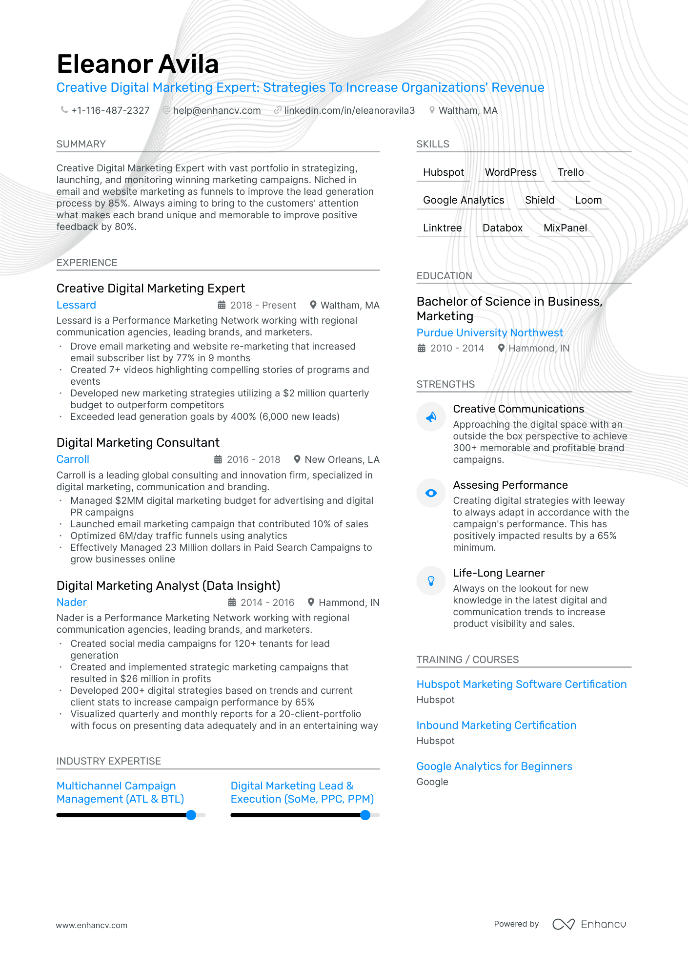 Creative Digital Marketing resume example
