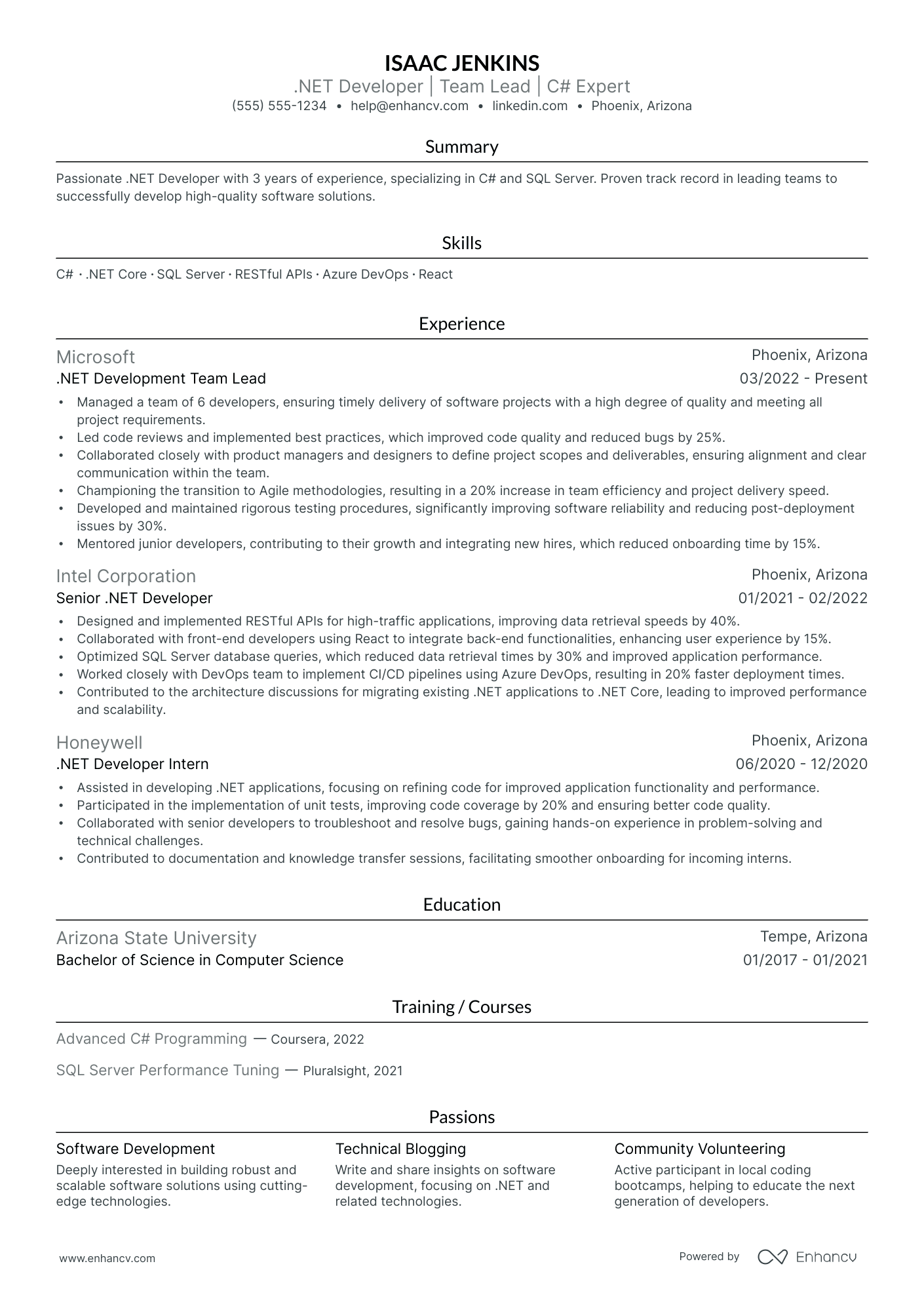 Front End Developer Team Lead resume example