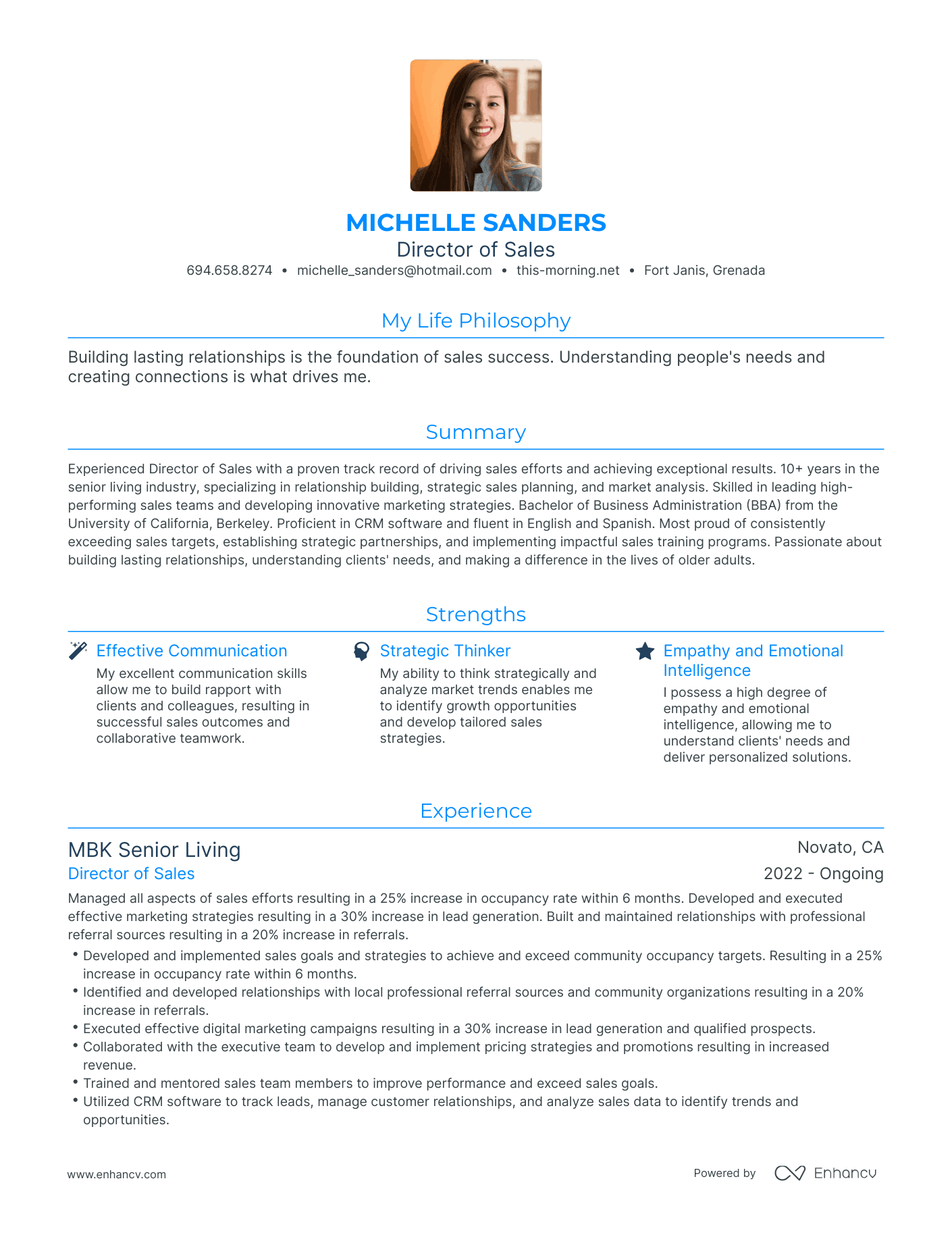 Modern Director of Sales Resume Example