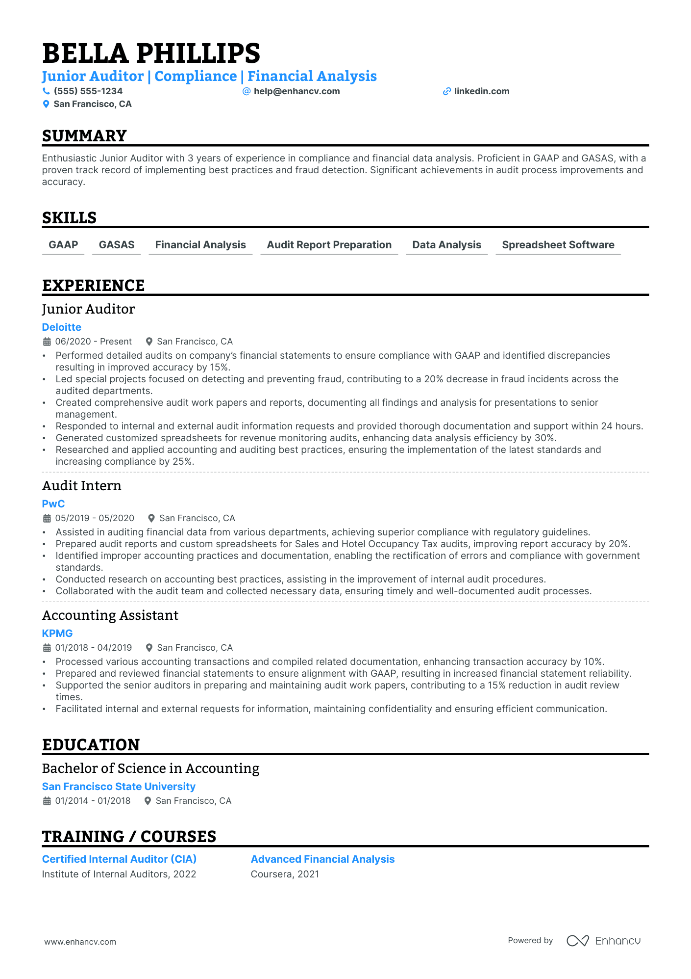 Auditor resume example