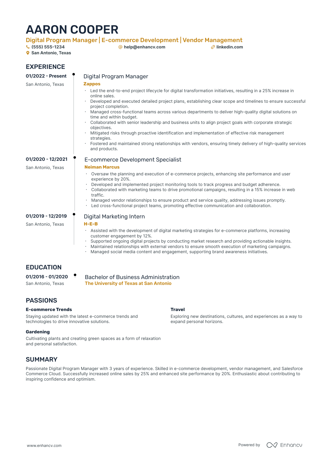 Digital Program Manager resume example