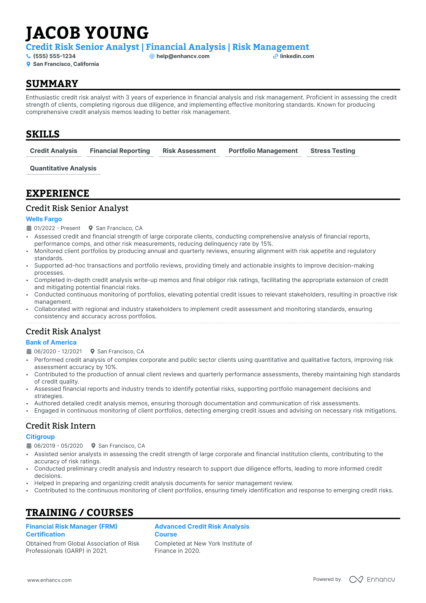 Financial Risk Analyst resume example