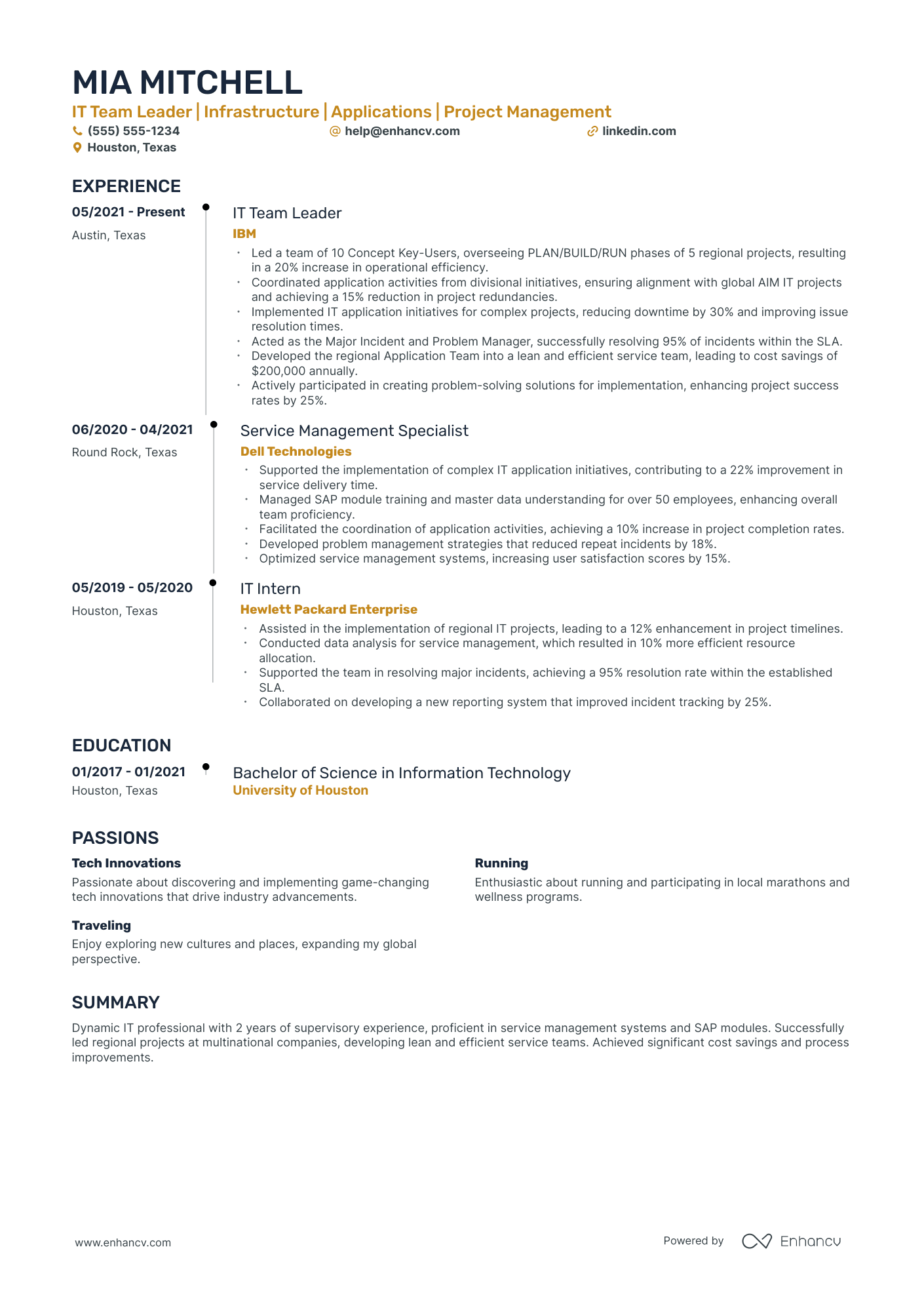 IT Team Lead resume example