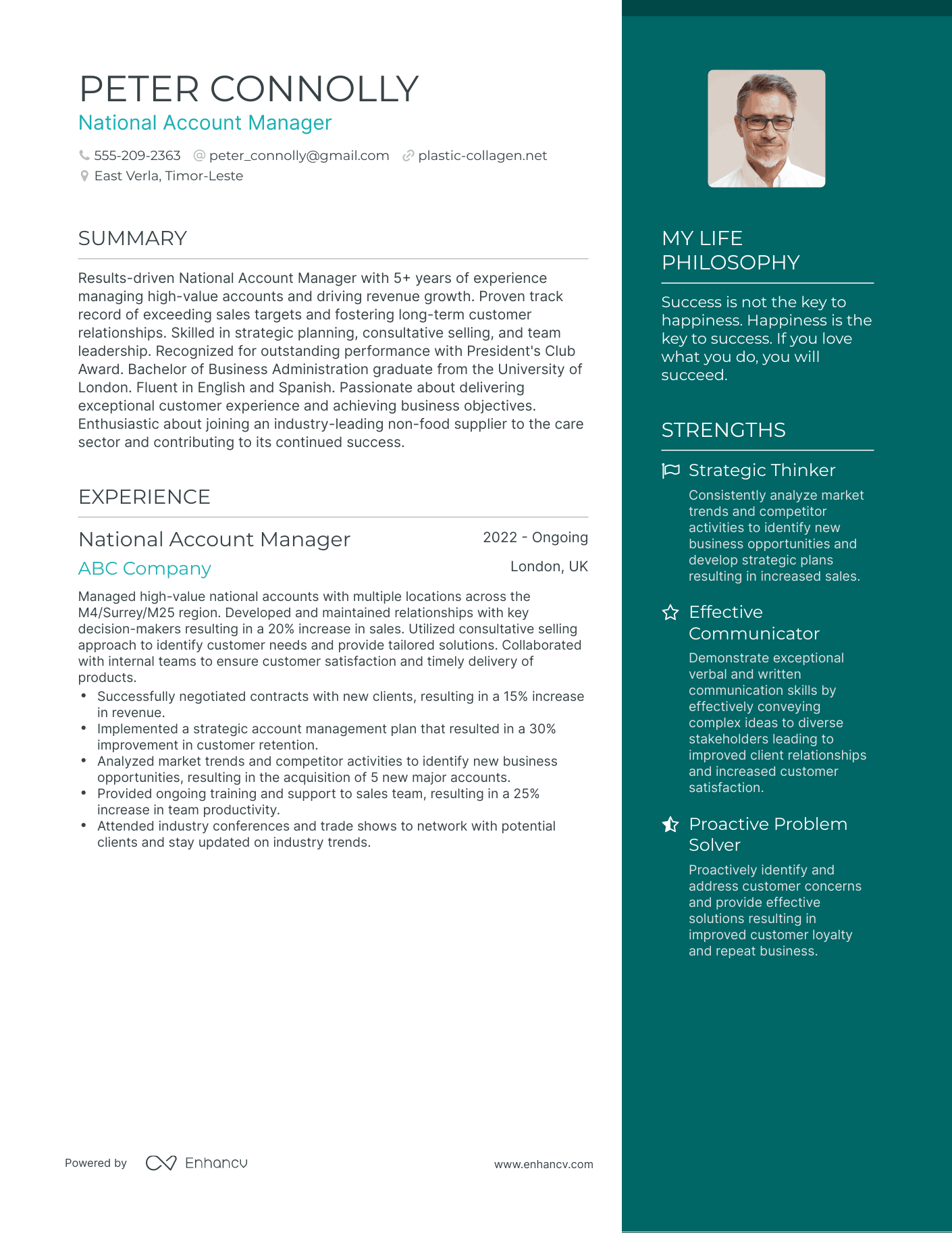 Modern National Account Manager Resume Example