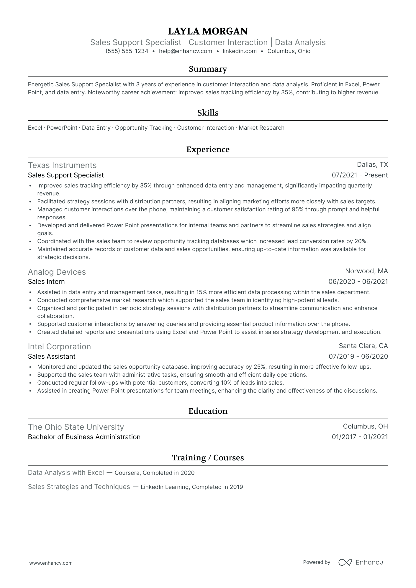 Inside Sales Team Lead resume example