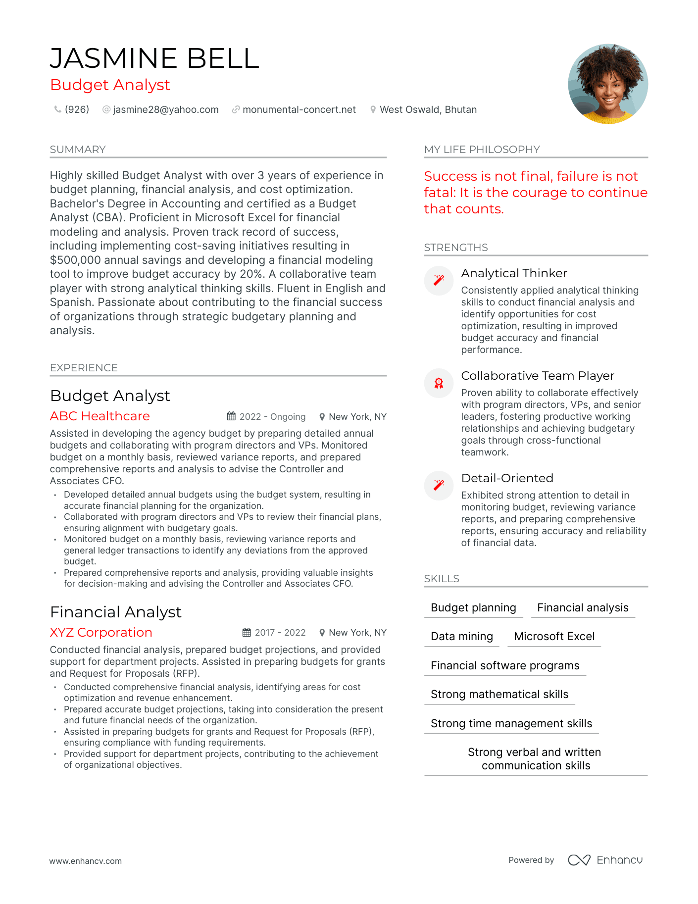 Budget Analyst resume example