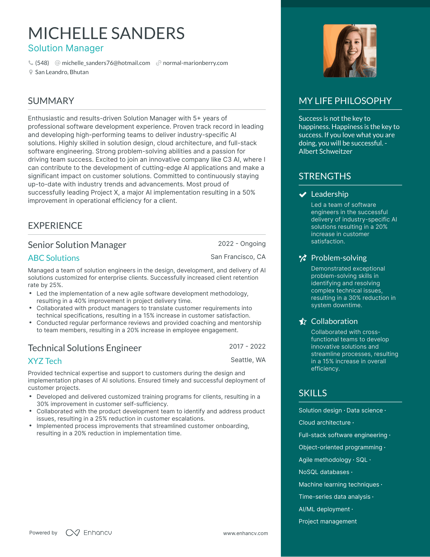 Modern Solution Manager Resume Example