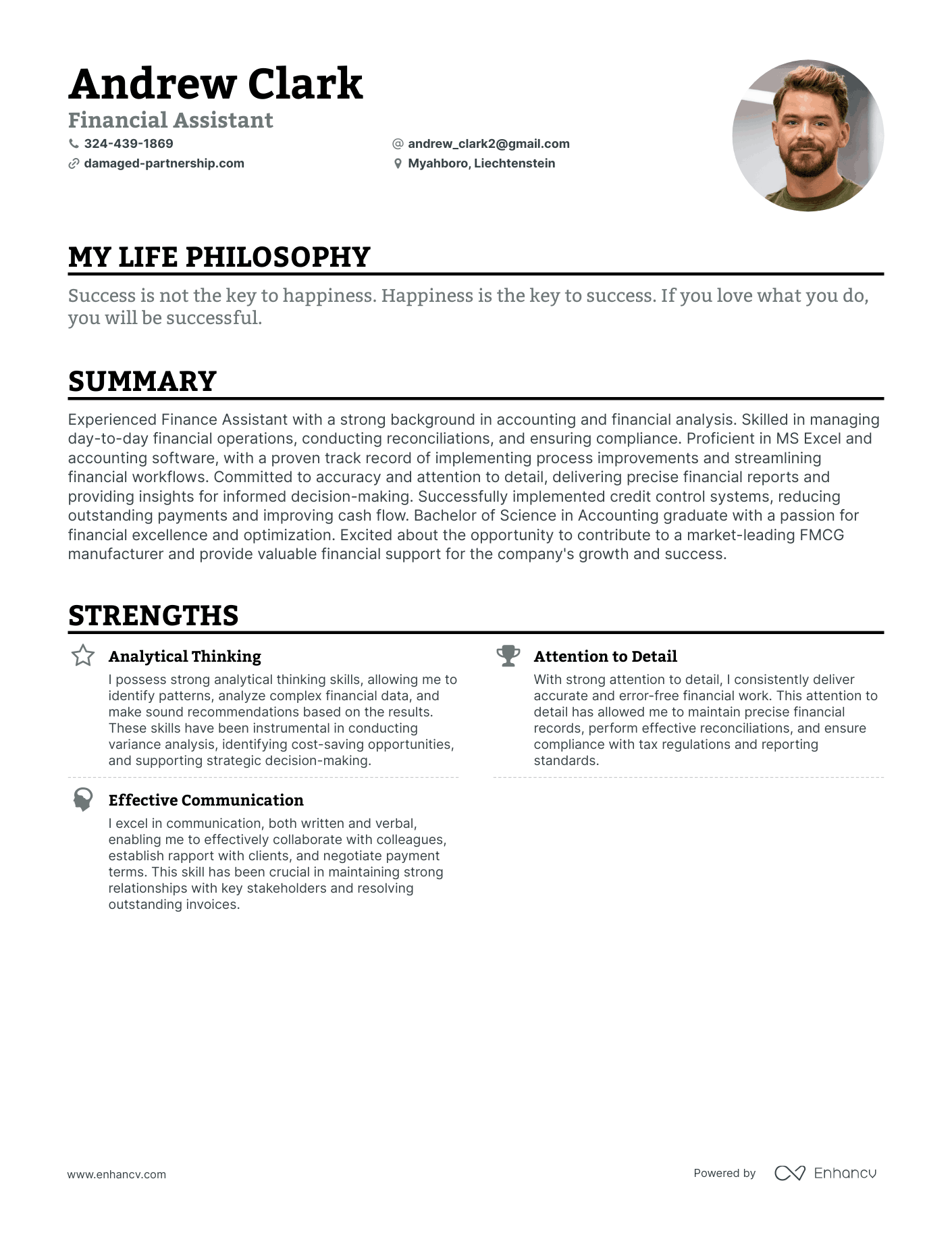 Creative Financial Assistant Resume Example