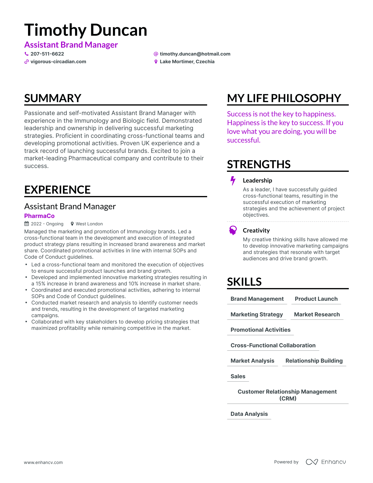 Modern Assistant Brand Manager Resume Example