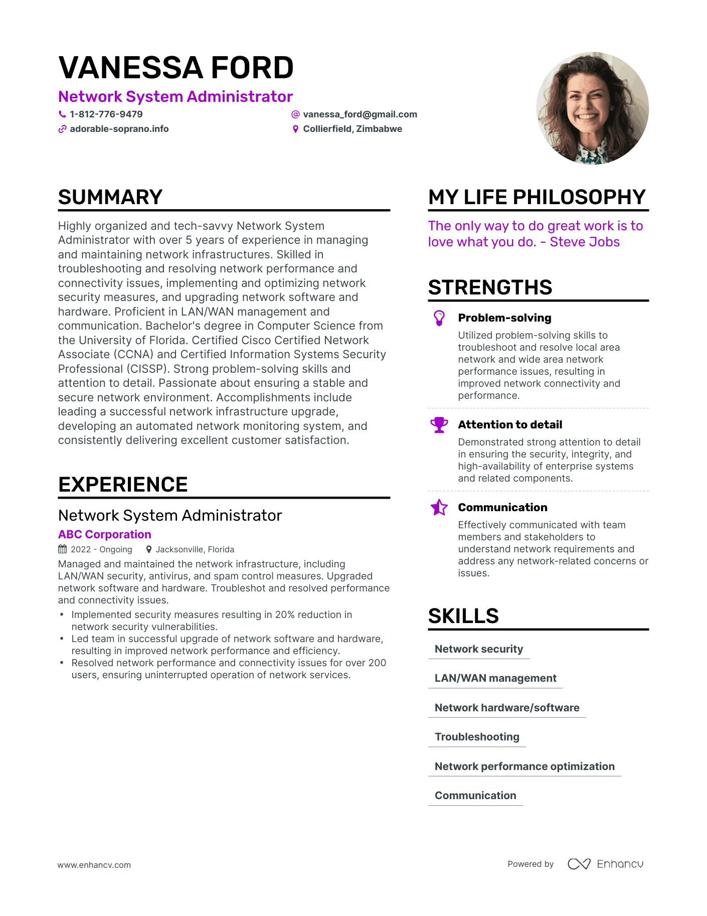 Network System Administrator resume example
