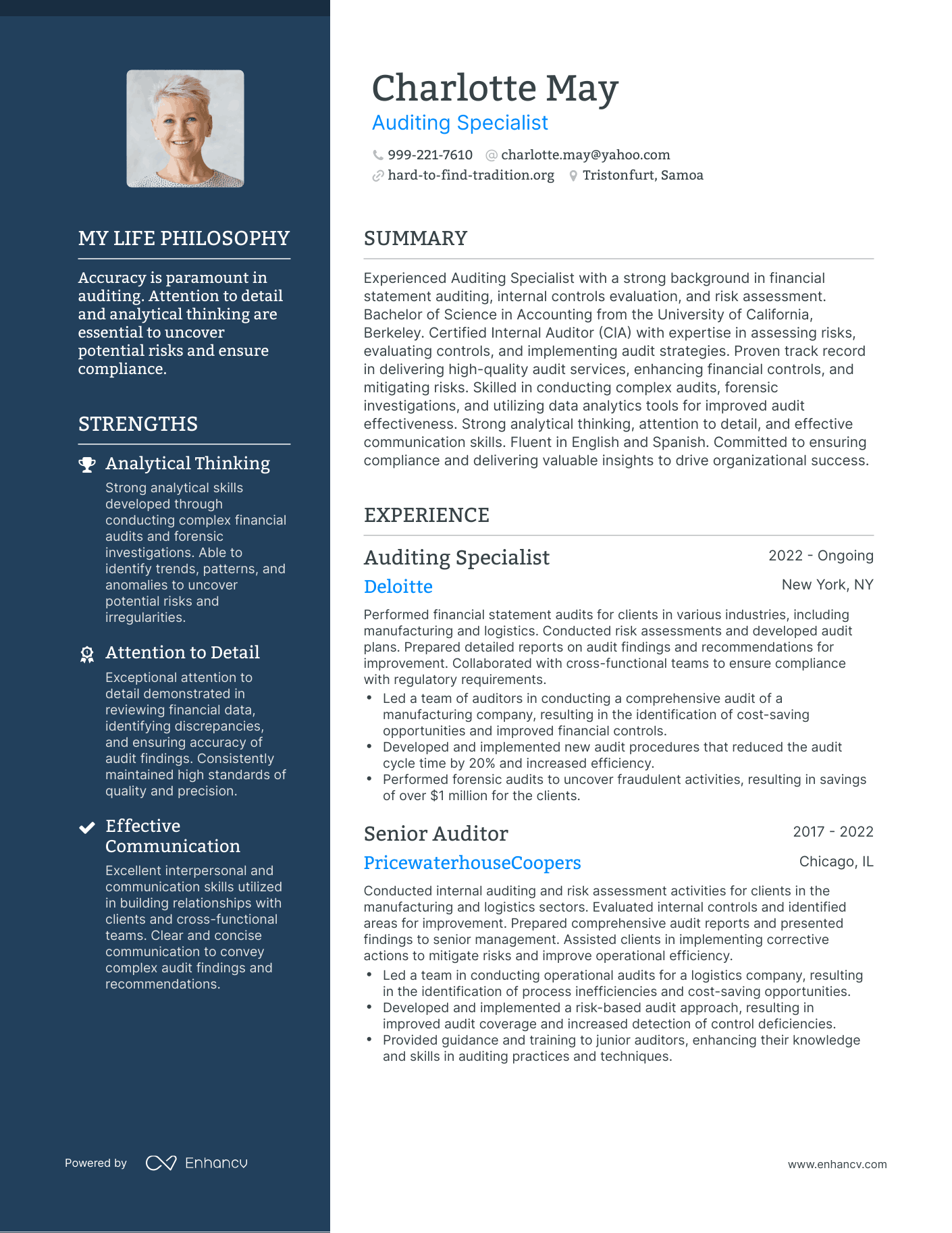 Creative Auditing Specialist Resume Example