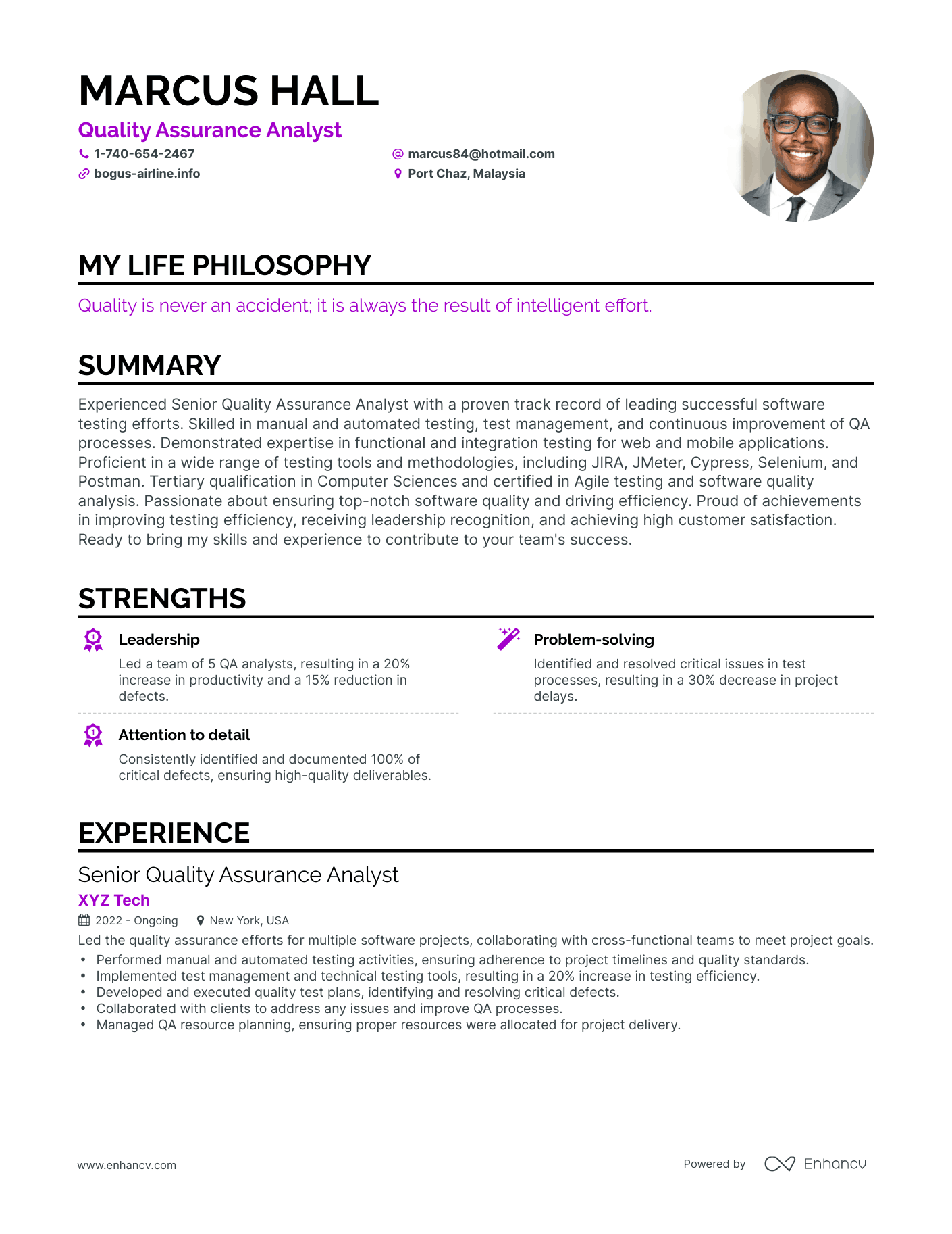 Creative Quality Assurance Analyst Resume Example