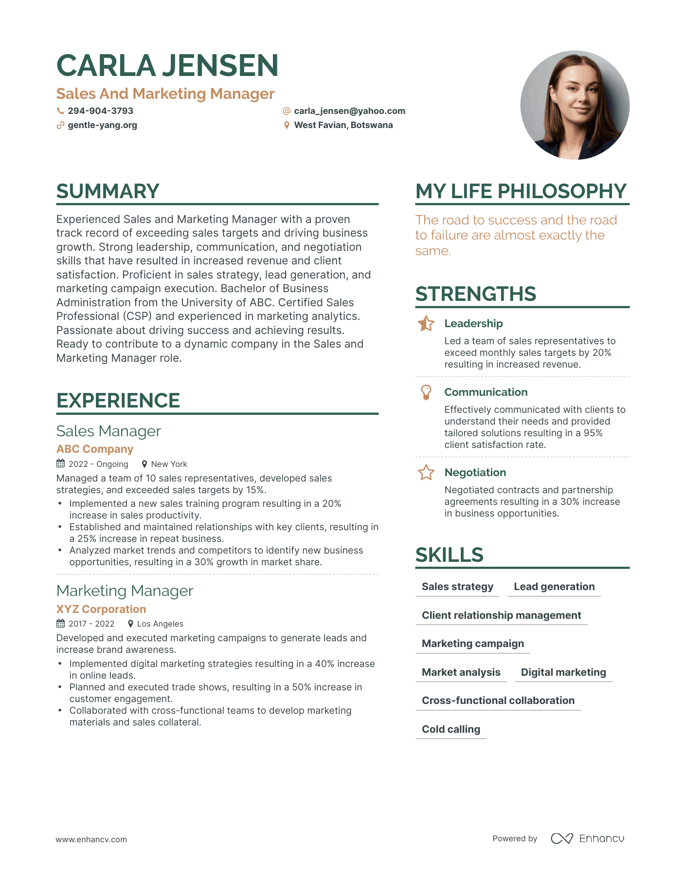 Sales And Marketing Manager resume example