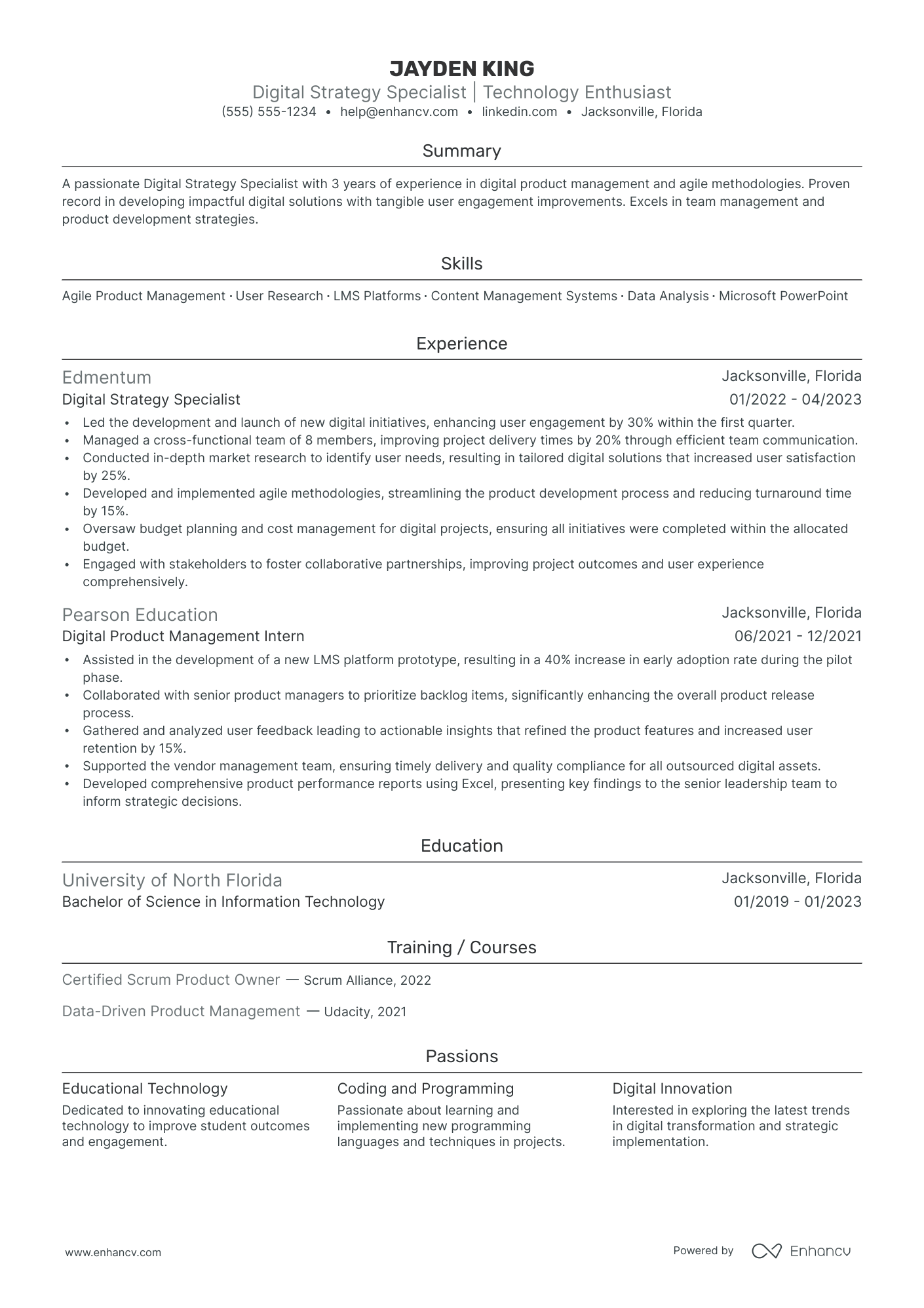 Director of Digital Marketing Strategy resume example