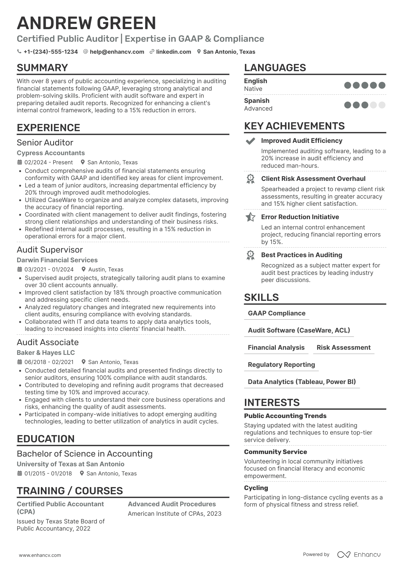 Public Accounting Auditor resume example